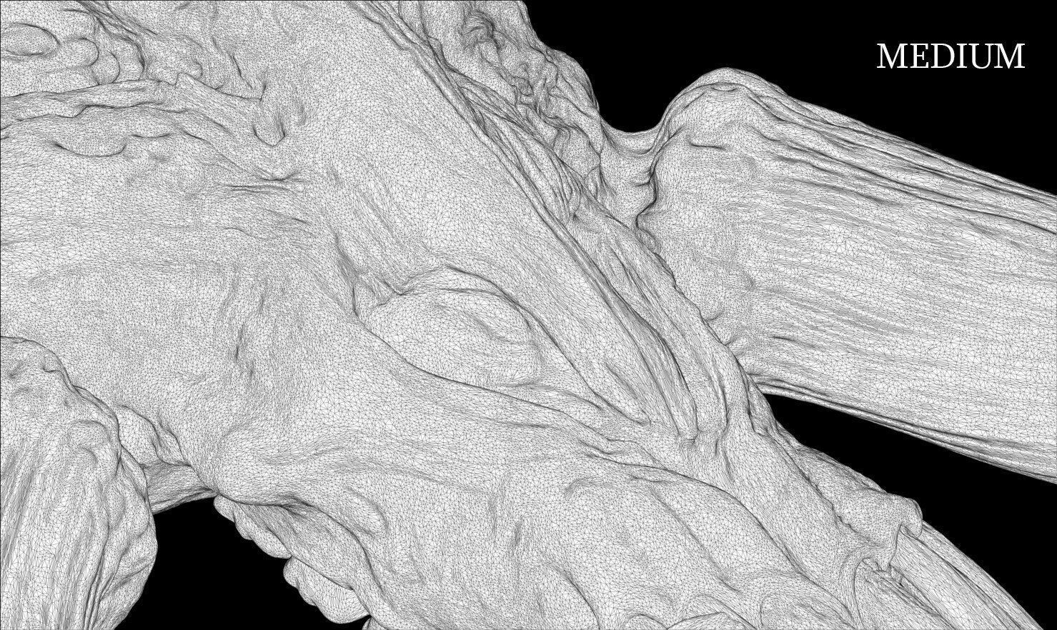 3D PRINTABLE MYTHOSAUR SKULL HORNS SORGAN FROG THE MANDALORIAN 3D print model_25