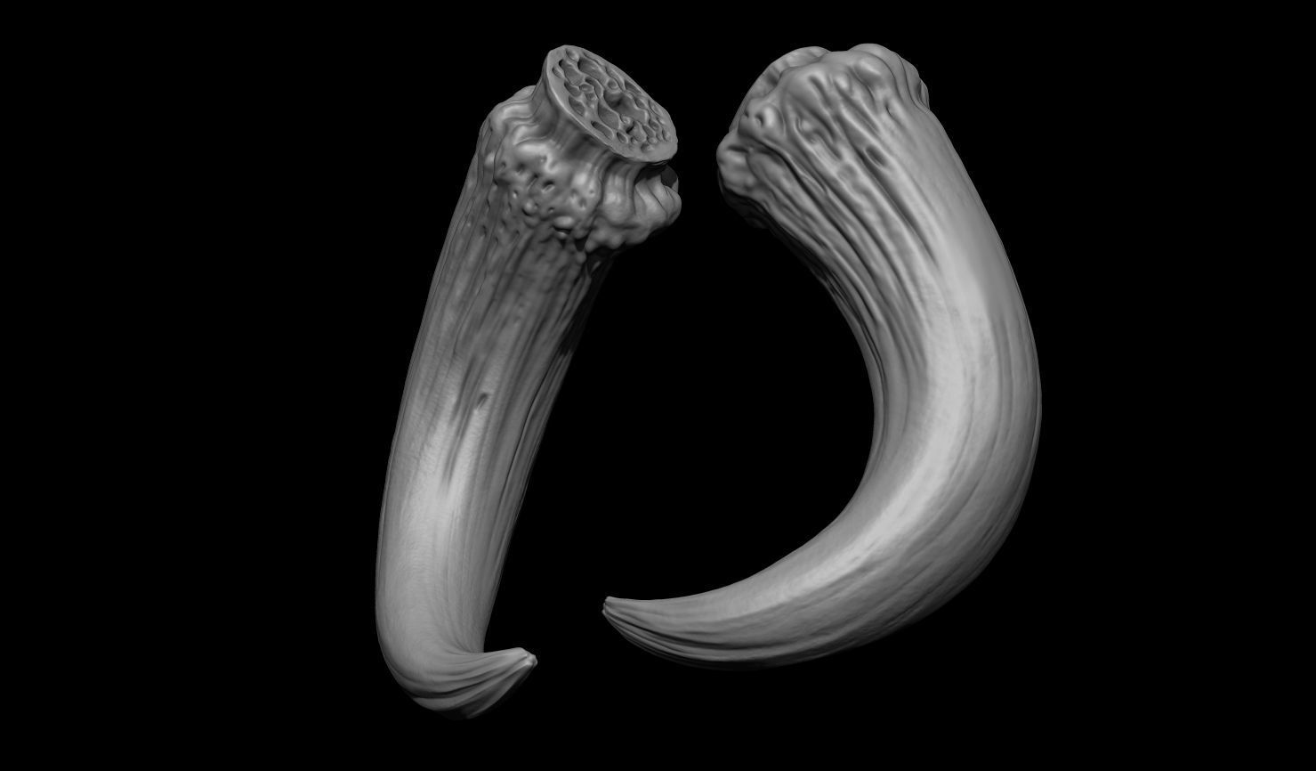 3D PRINTABLE MYTHOSAUR SKULL HORNS SORGAN FROG THE MANDALORIAN 3D print model_47