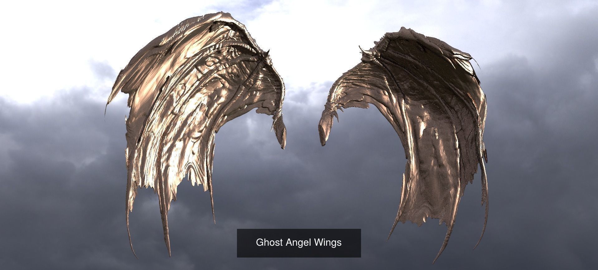 Exotique Fantasy Wings 3D Model Collection_6