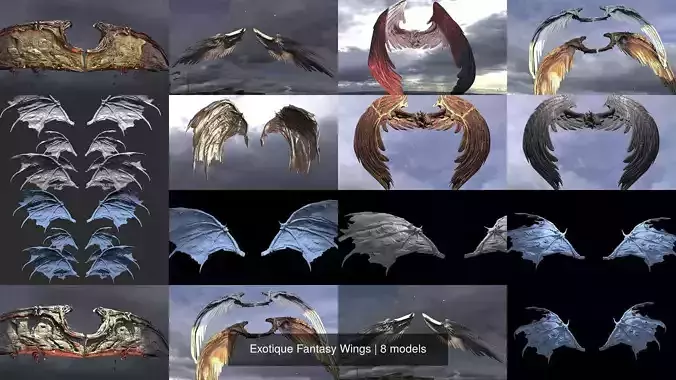 Exotique Fantasy Wings 3D Model Collection