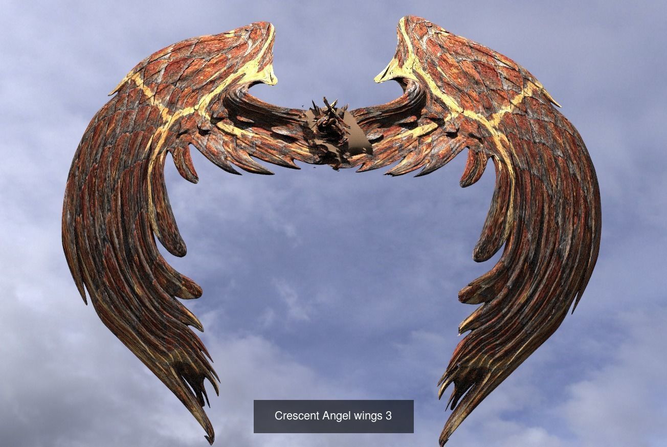Exotique Fantasy Wings 3D Model Collection_7