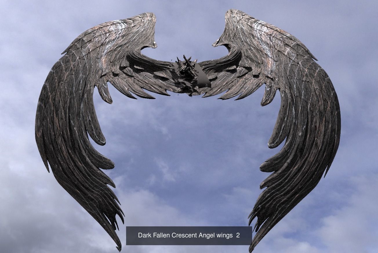 Exotique Fantasy Wings 3D Model Collection_8