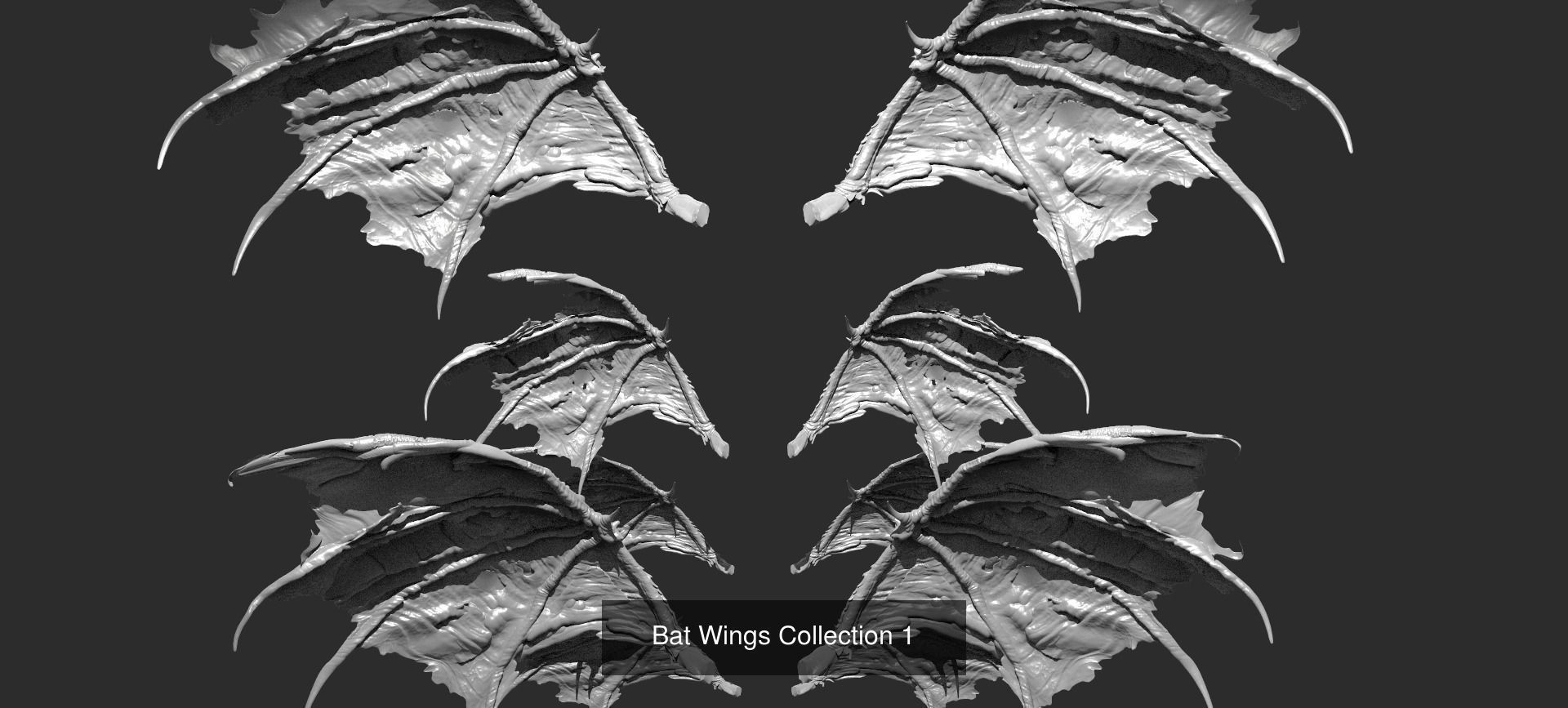 Exotique Fantasy Wings 3D Model Collection_5
