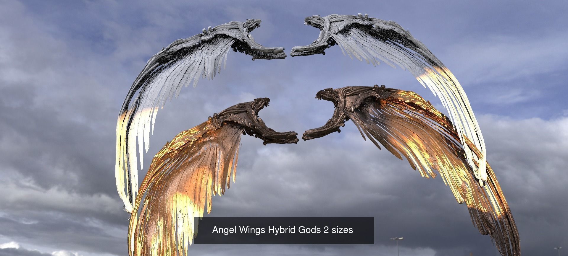 Exotique Fantasy Wings 3D Model Collection_4