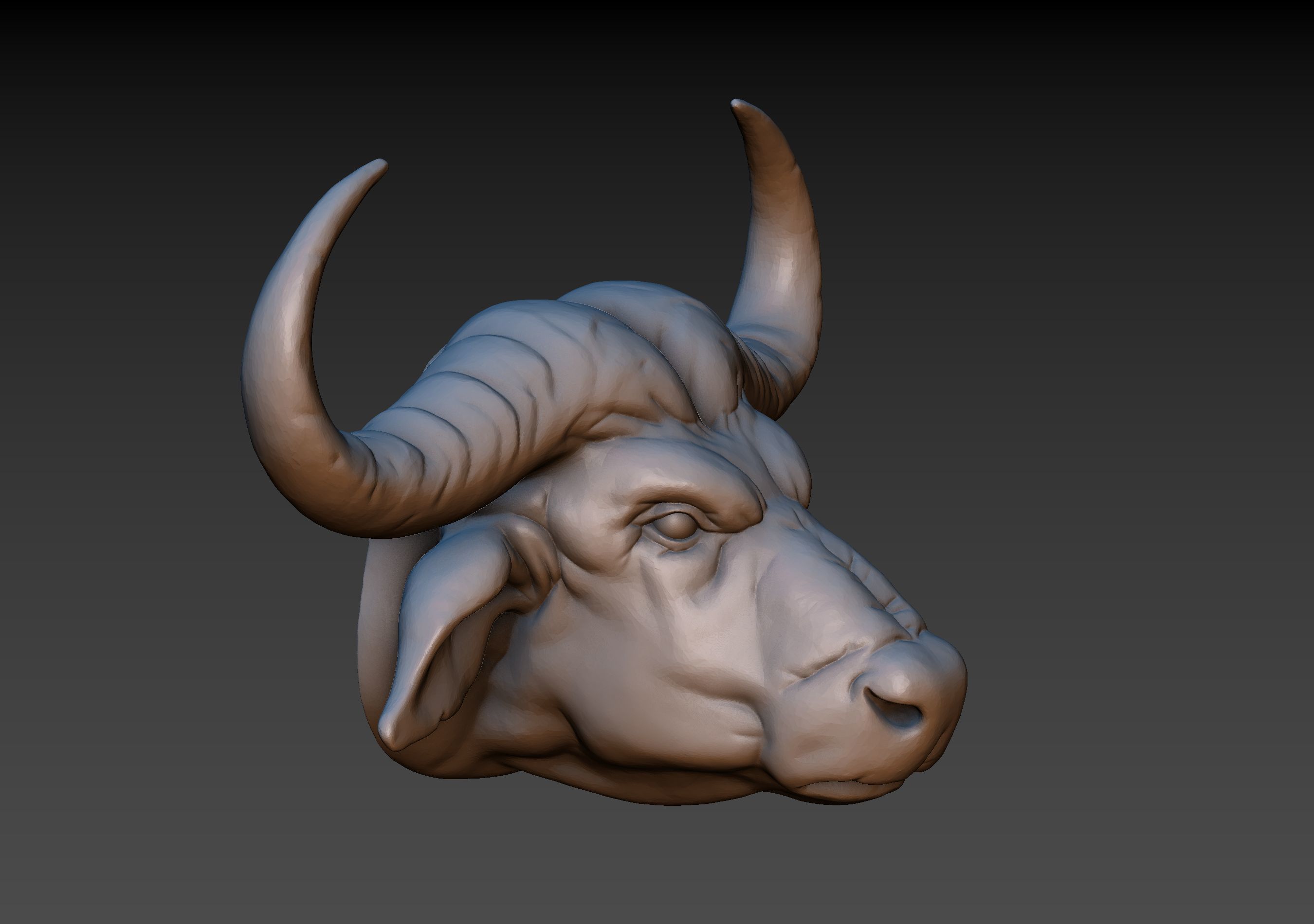 African Buffalo Head 3D print model_11
