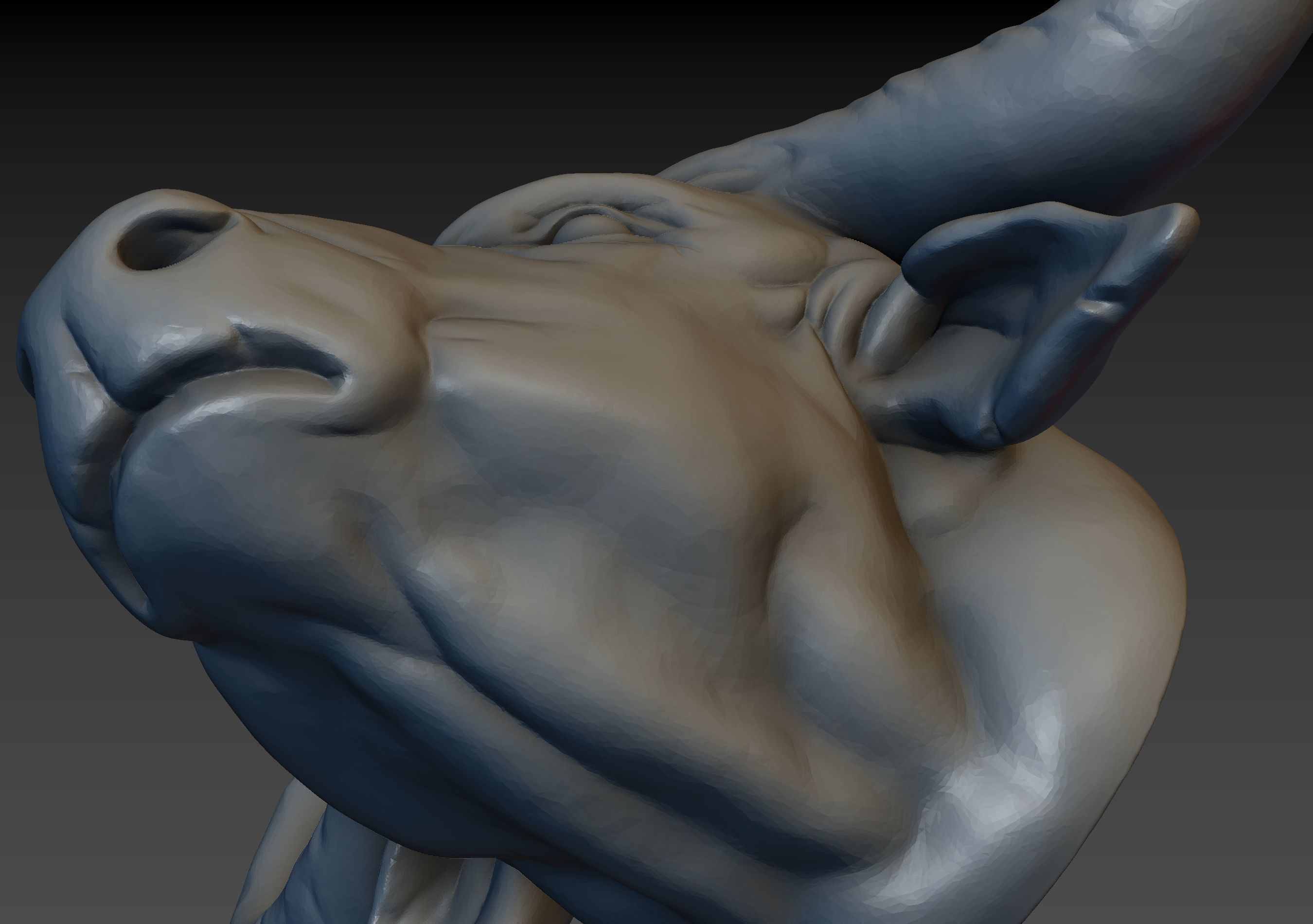 African Buffalo Head 3D print model_22