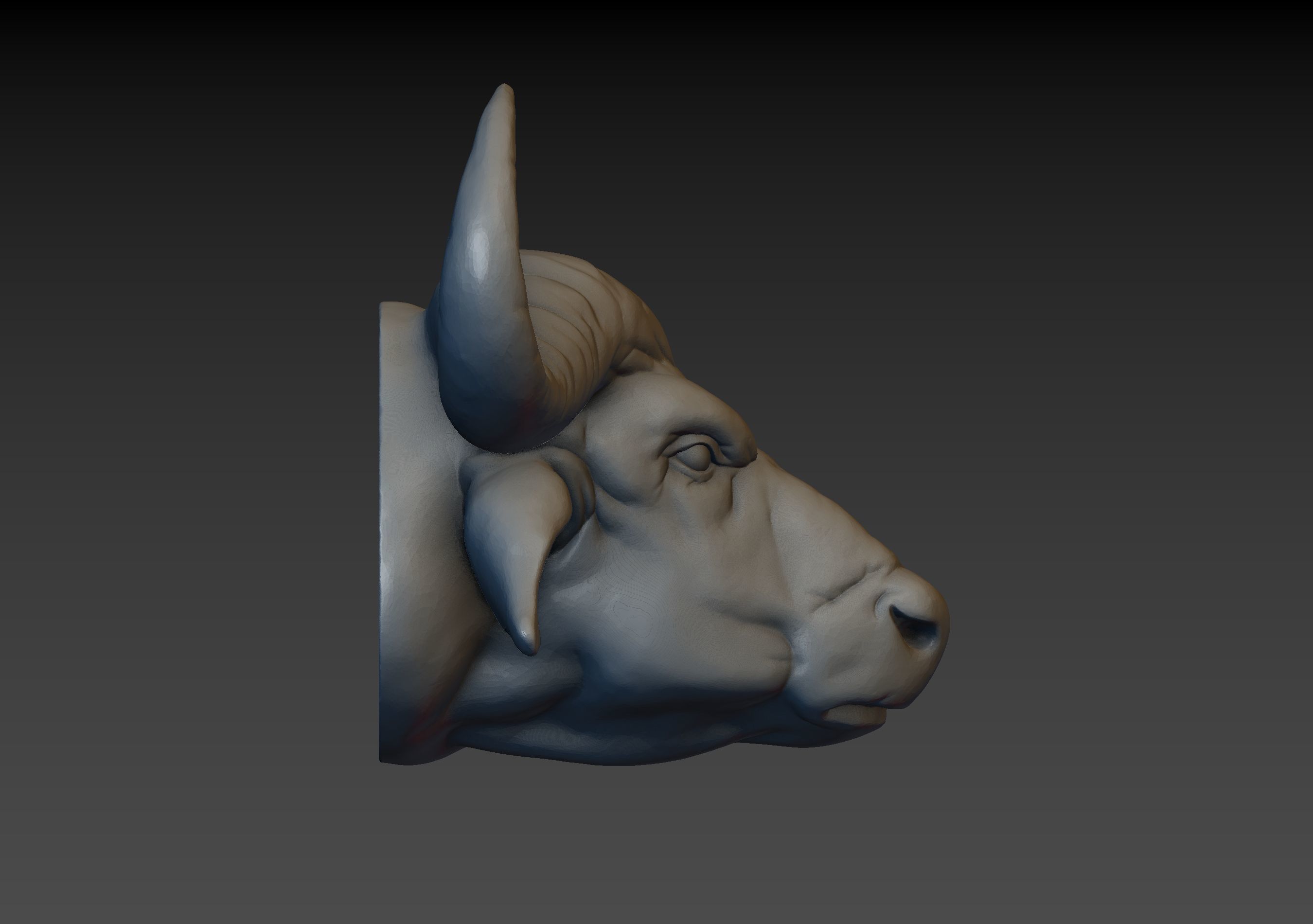 African Buffalo Head 3D print model_17