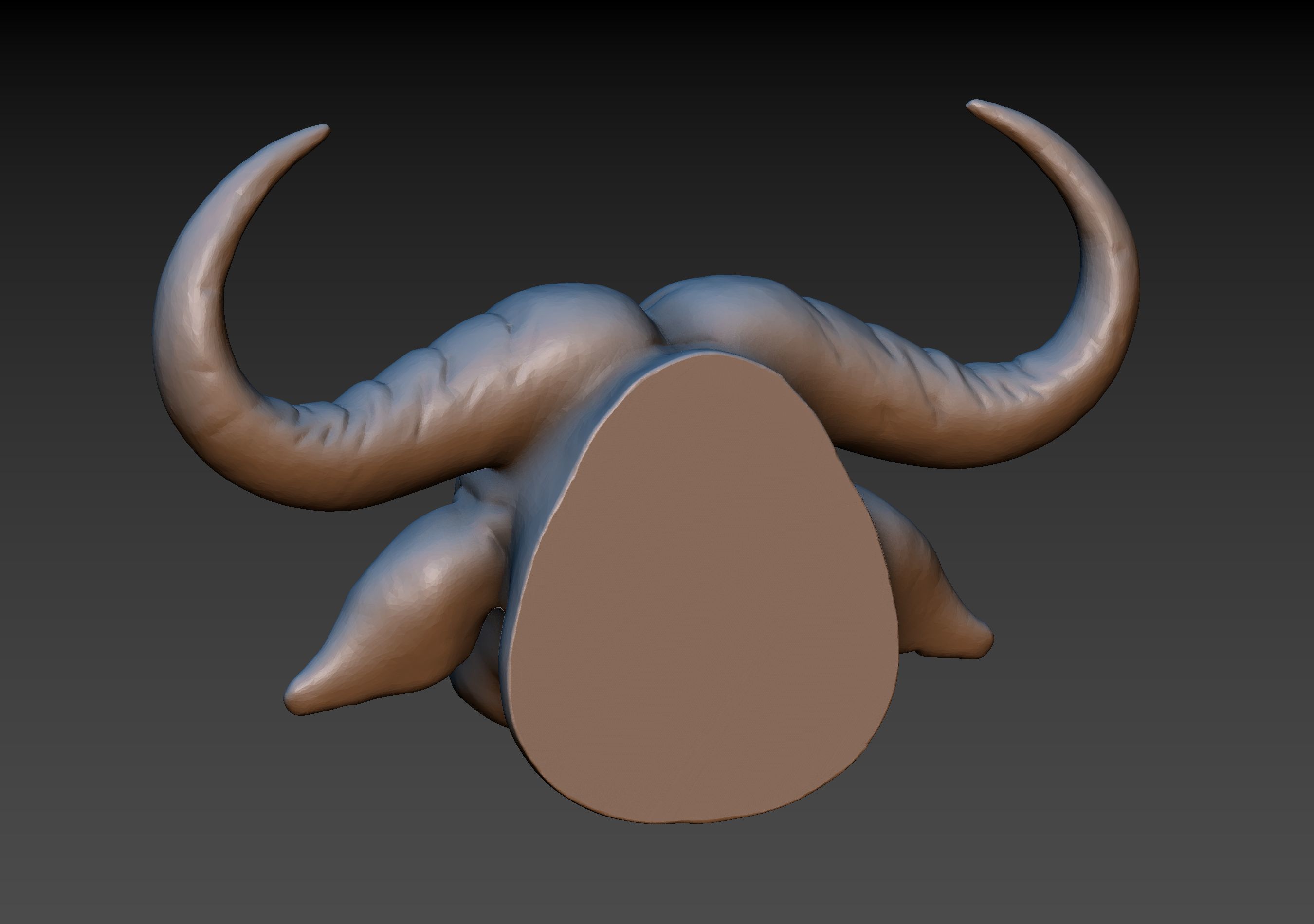 African Buffalo Head 3D print model_7
