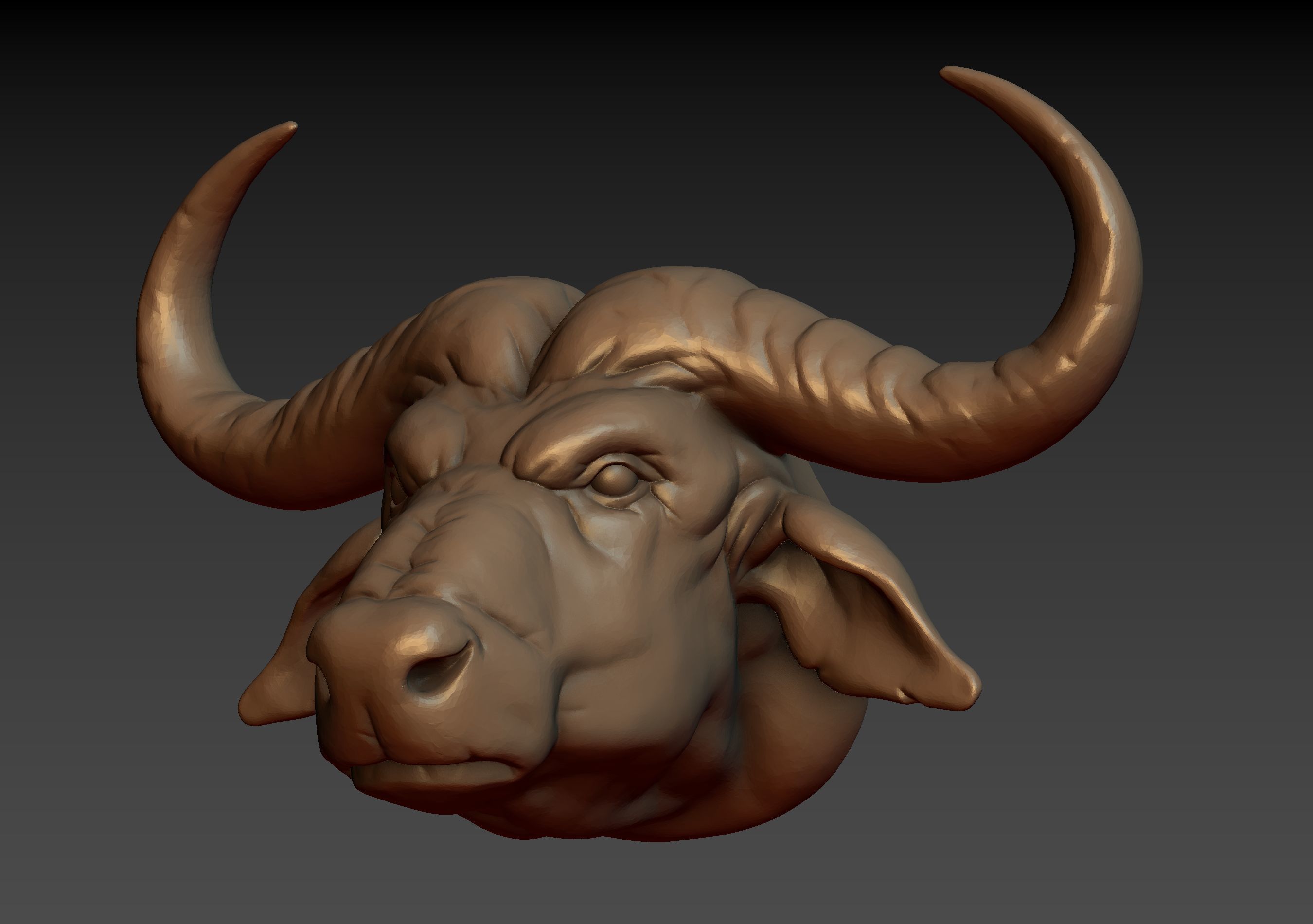 African Buffalo Head 3D print model_23