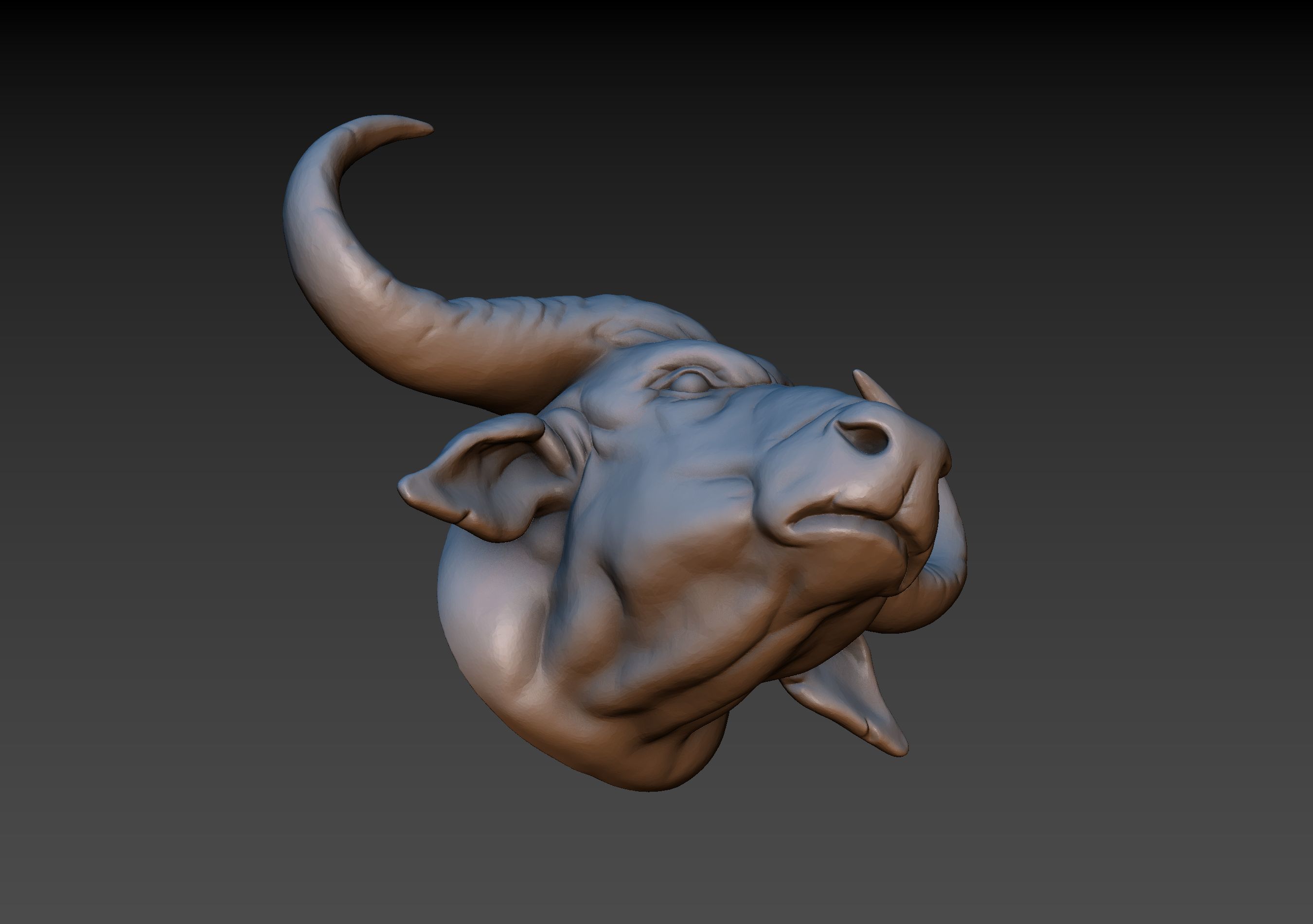 African Buffalo Head 3D print model_13