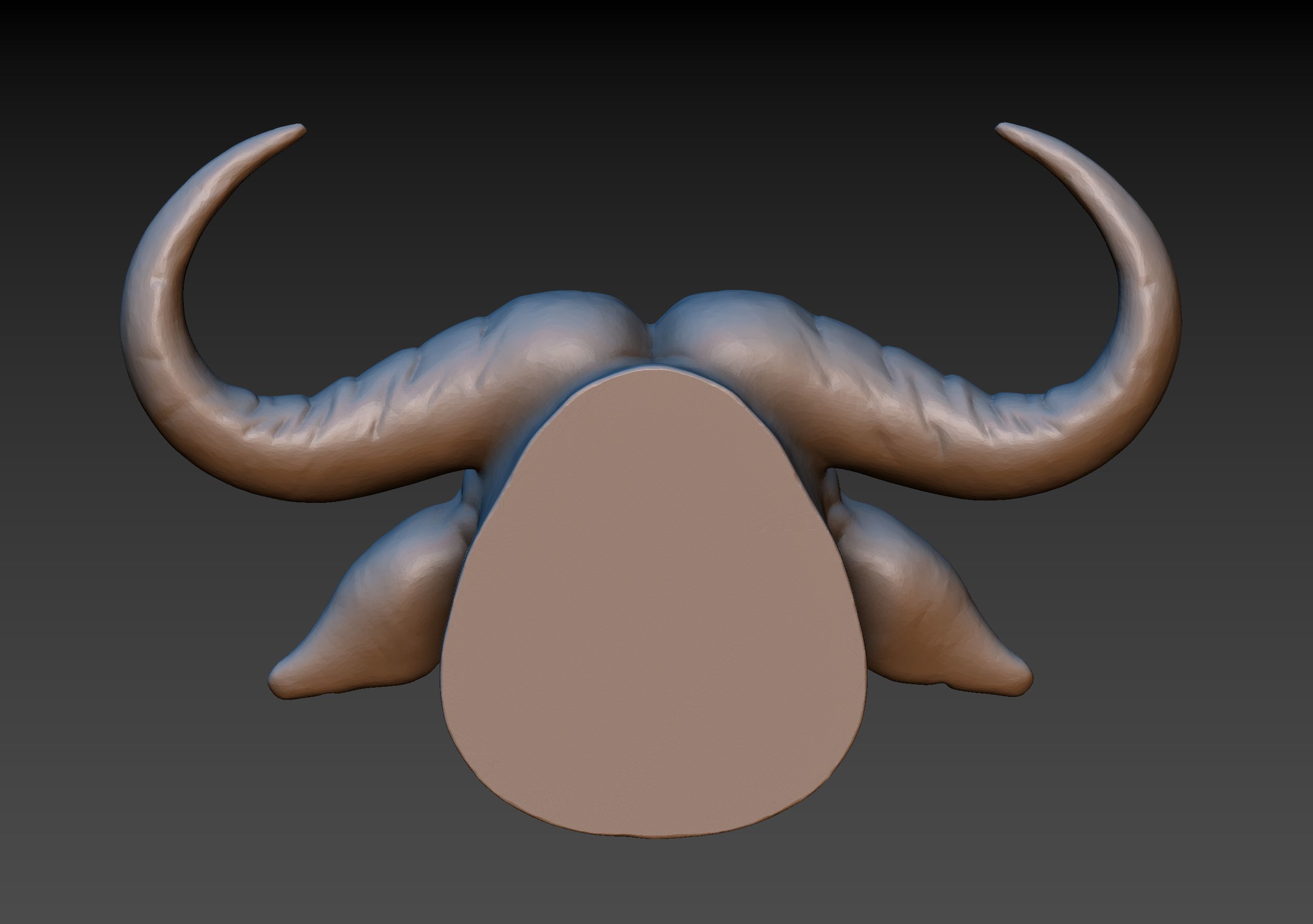 African Buffalo Head 3D print model_8