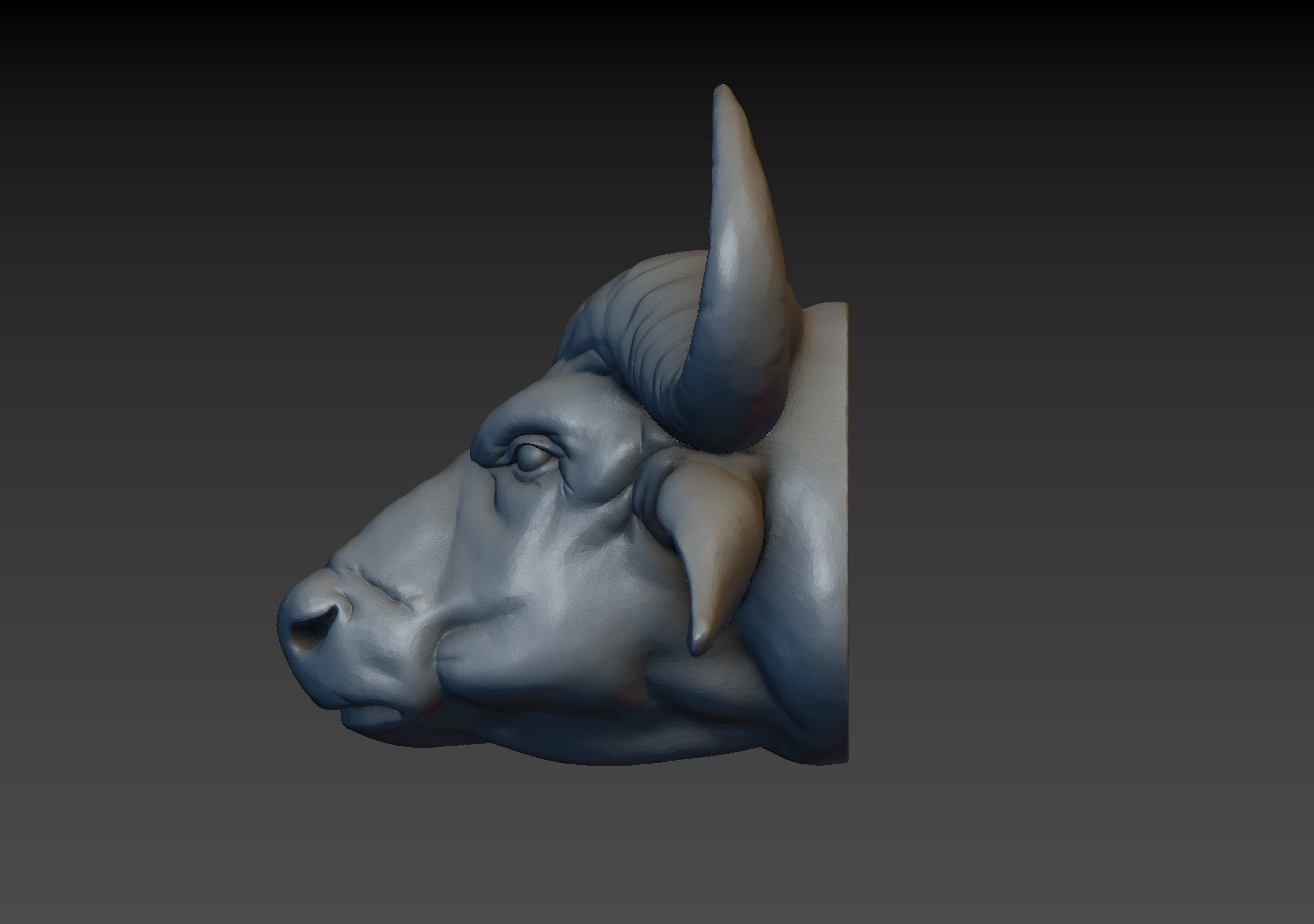 African Buffalo Head 3D print model_15