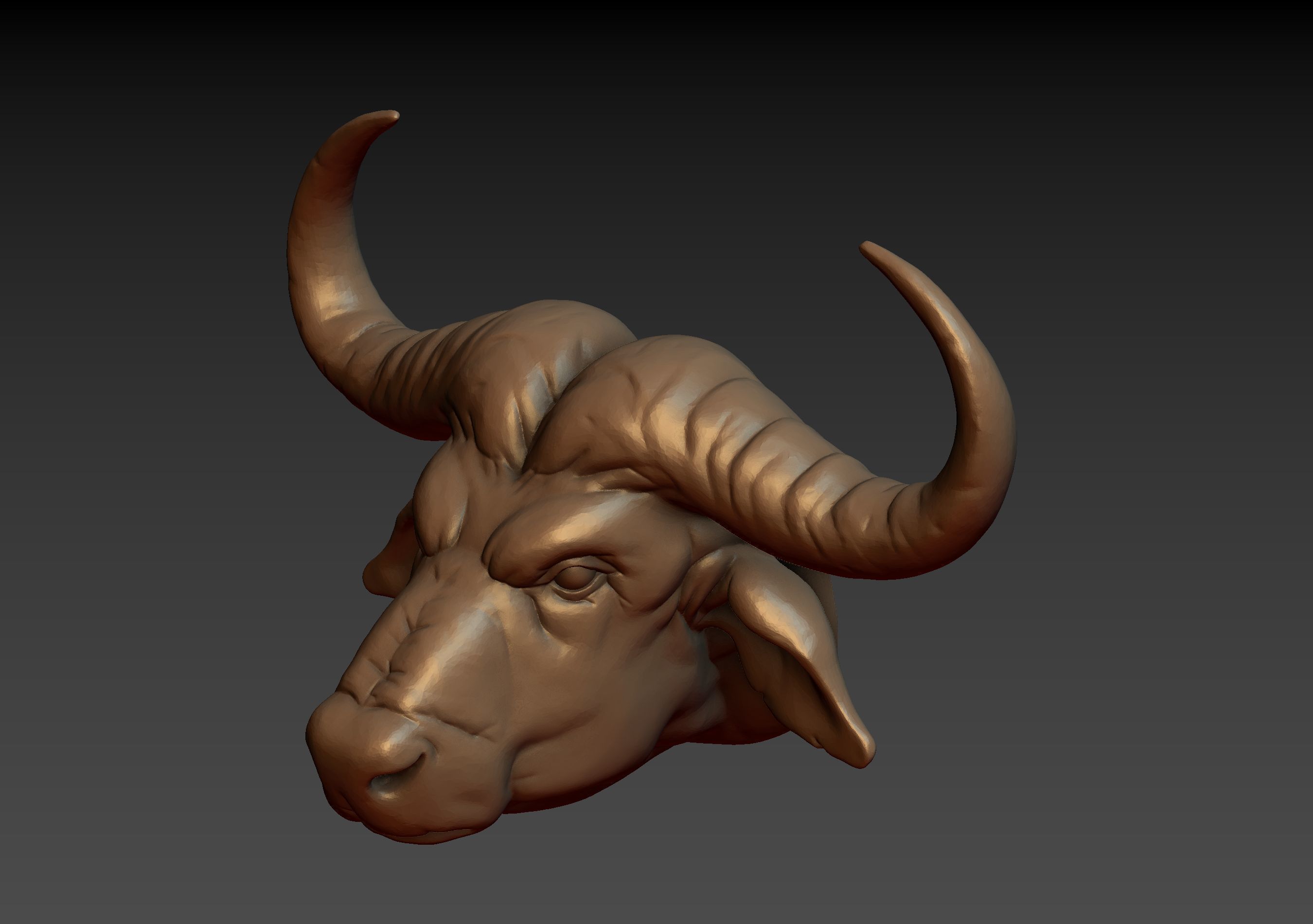 African Buffalo Head 3D print model_24