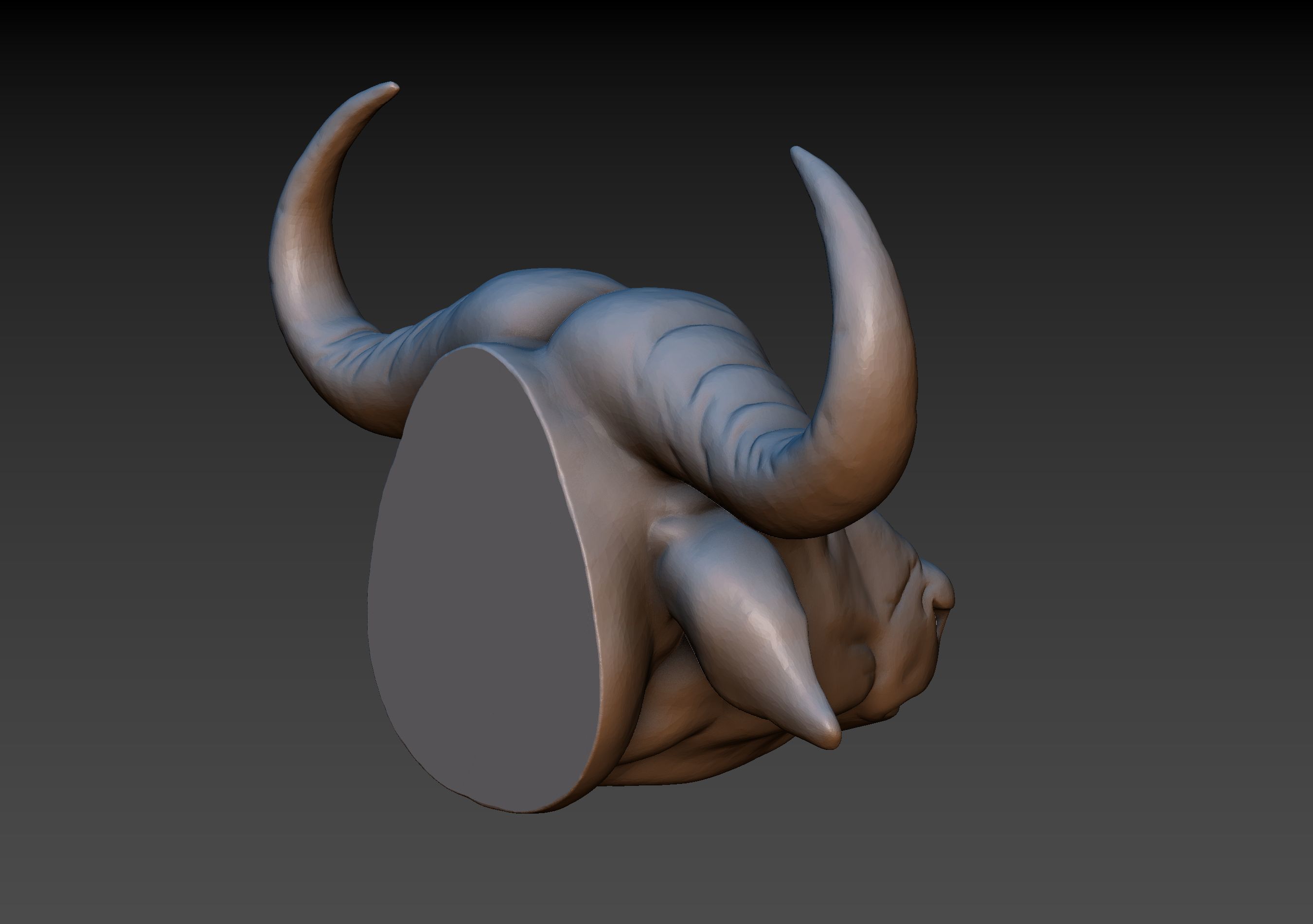 African Buffalo Head 3D print model_9
