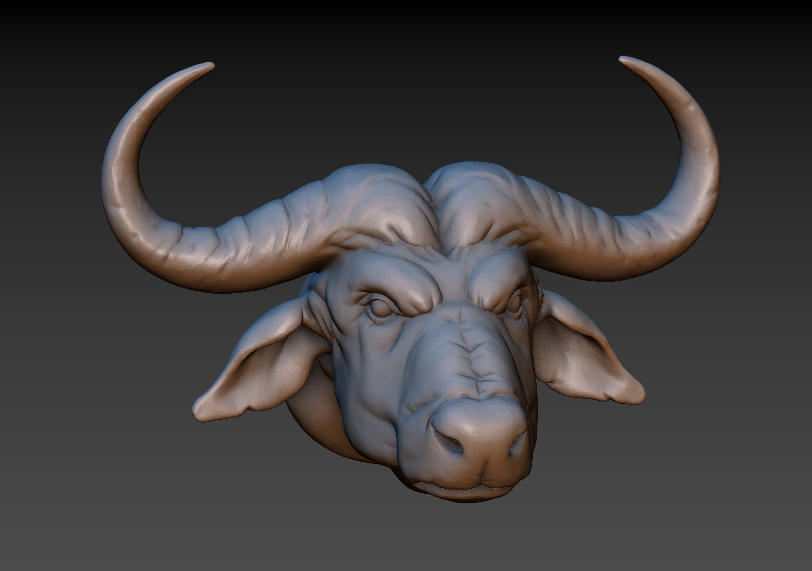 African Buffalo Head 3D print model_2