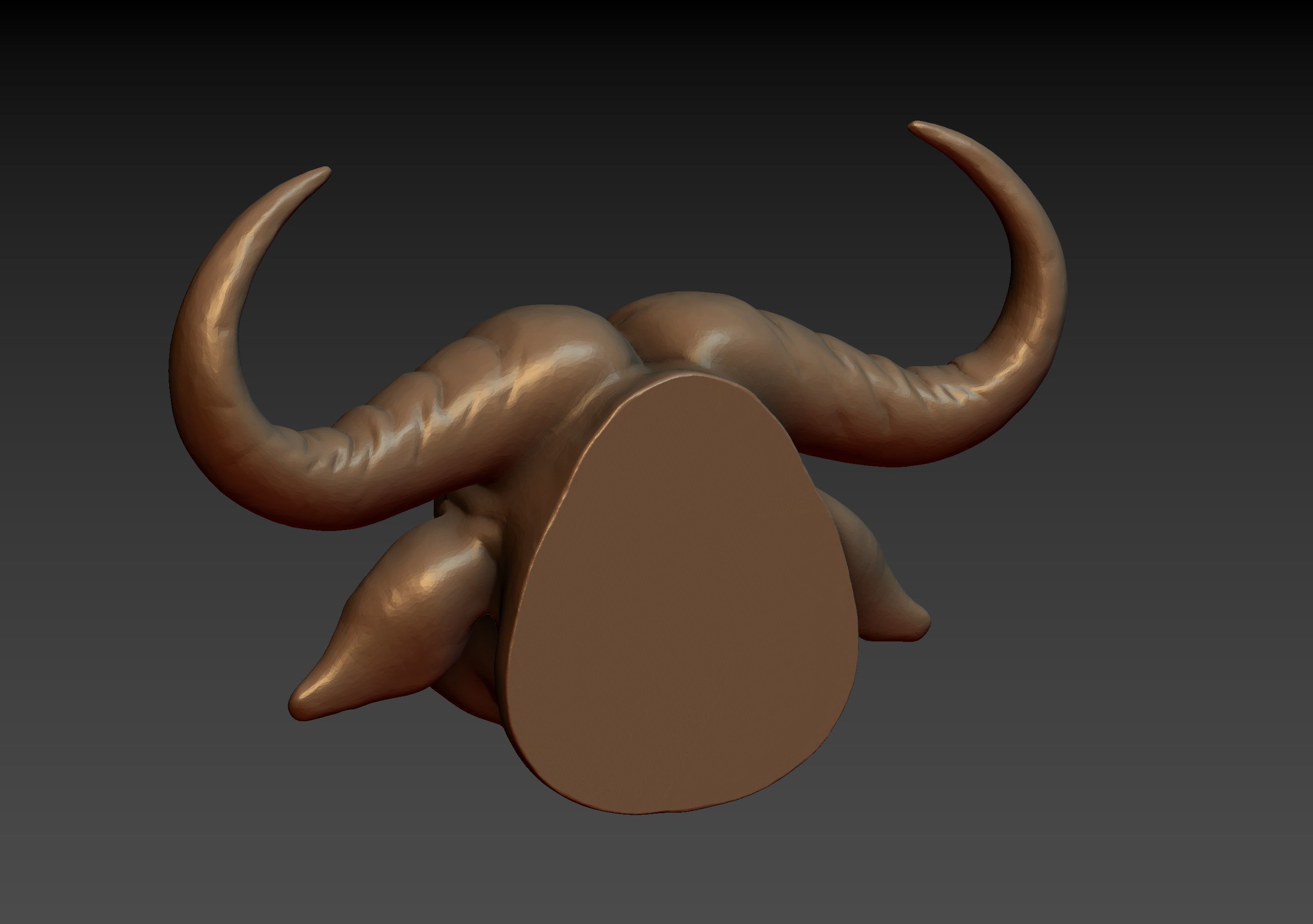 African Buffalo Head 3D print model_26