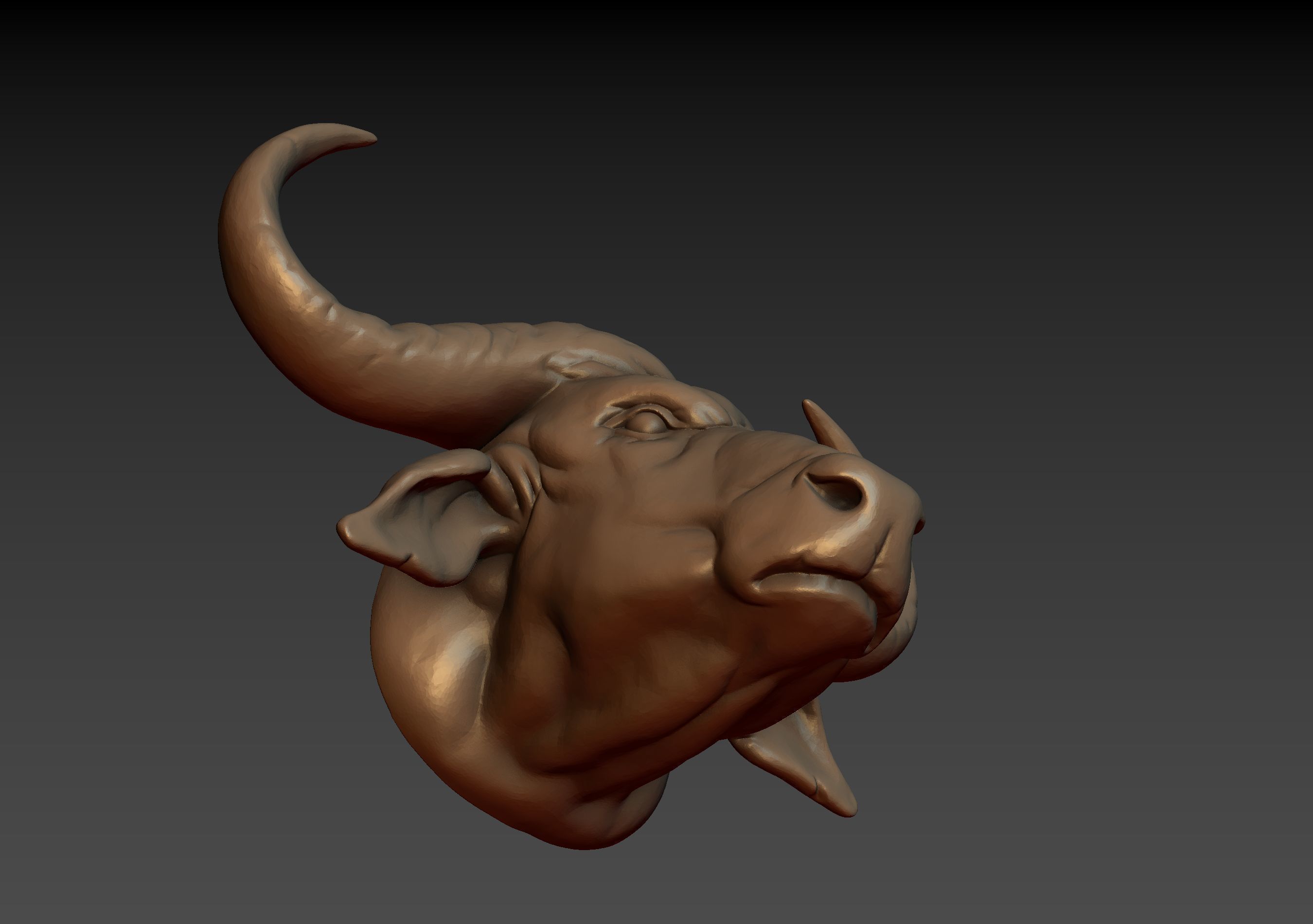 African Buffalo Head 3D print model_25