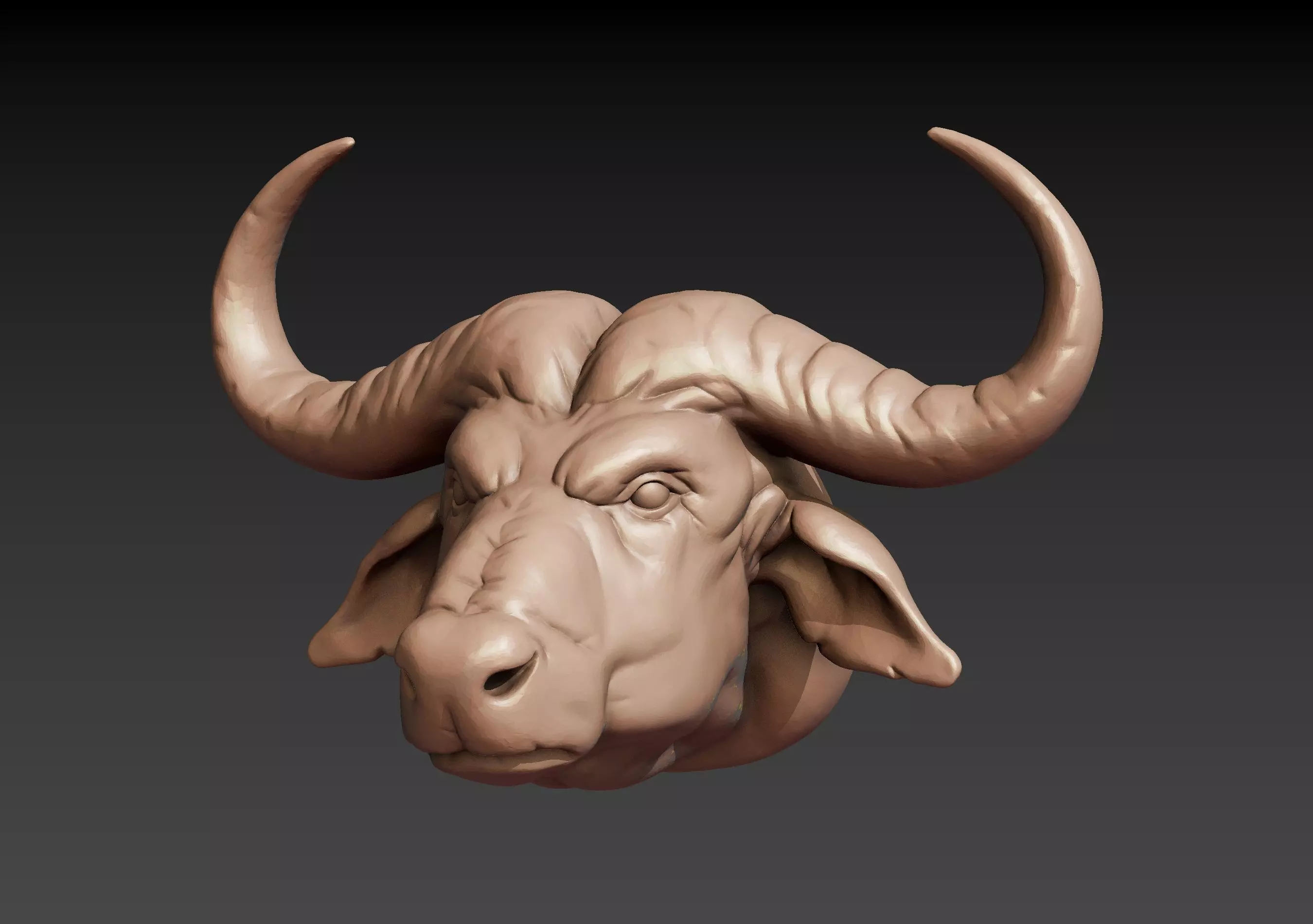 African Buffalo Head 3D print model_0