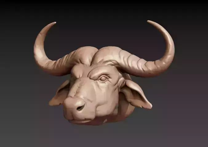 African Buffalo Head 3D print model