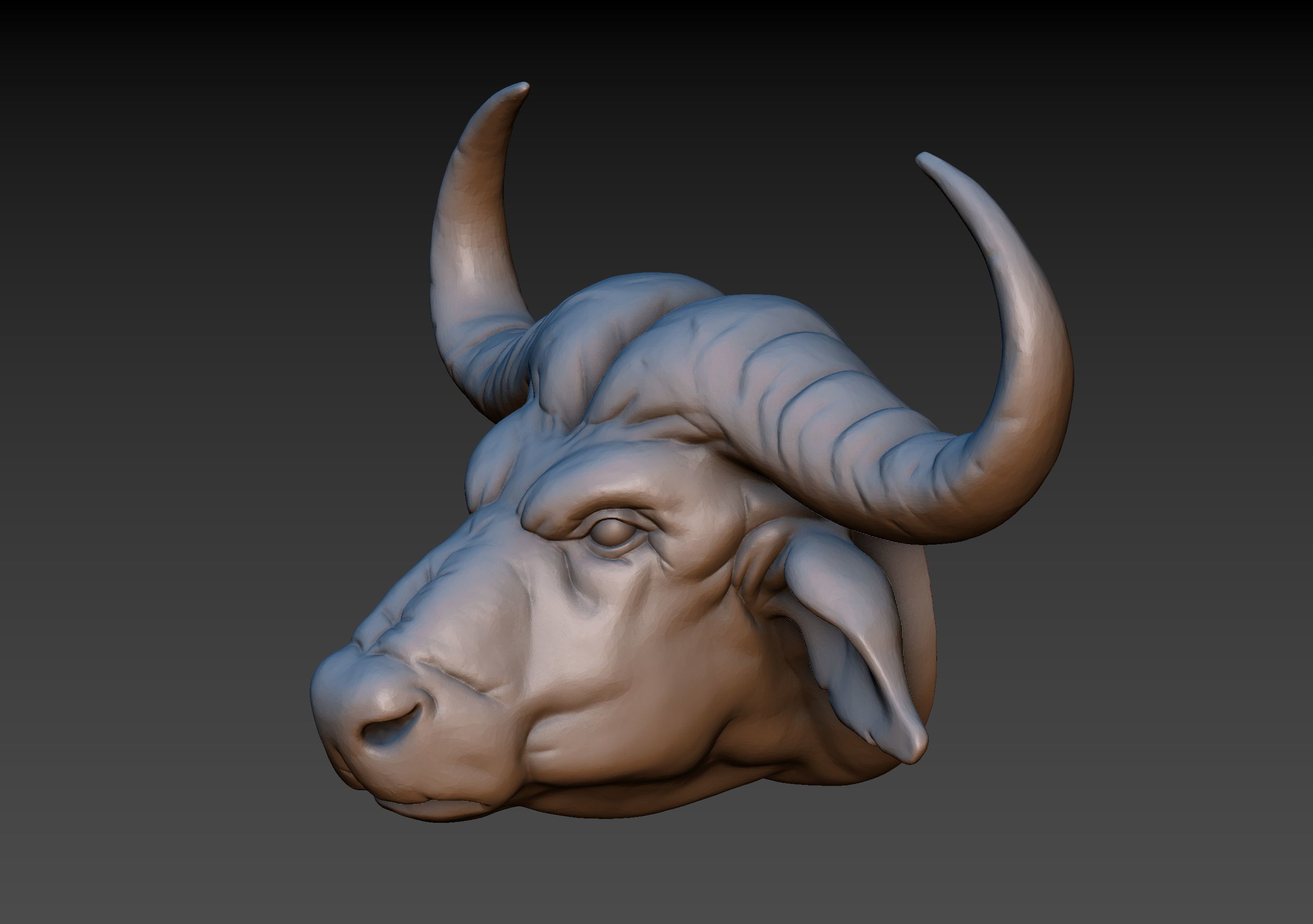 African Buffalo Head 3D print model_4
