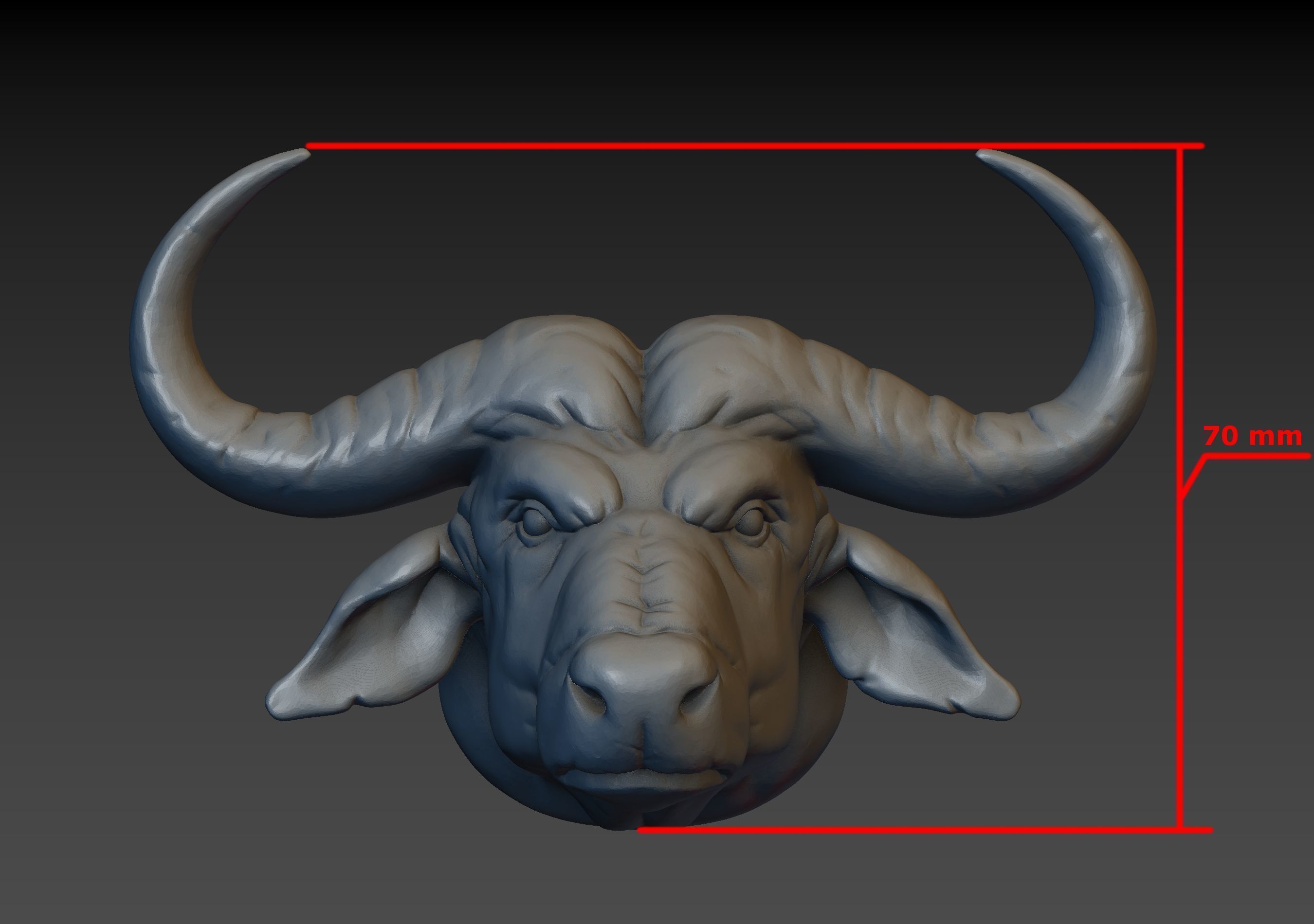 African Buffalo Head 3D print model_27