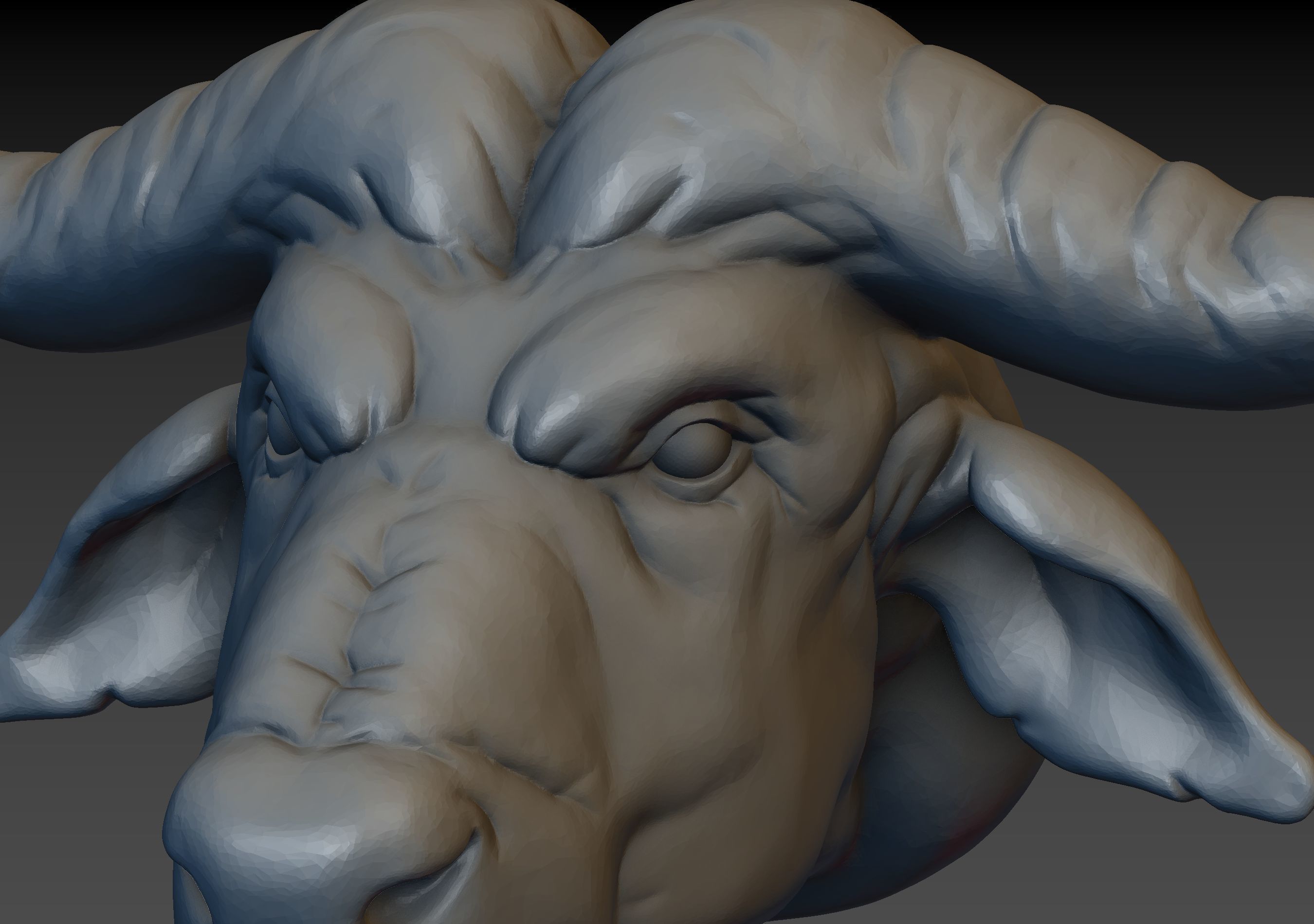 African Buffalo Head 3D print model_20