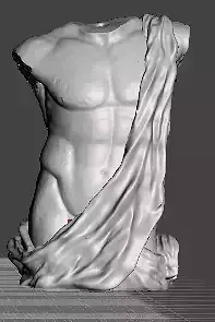 Antique male torso STONE