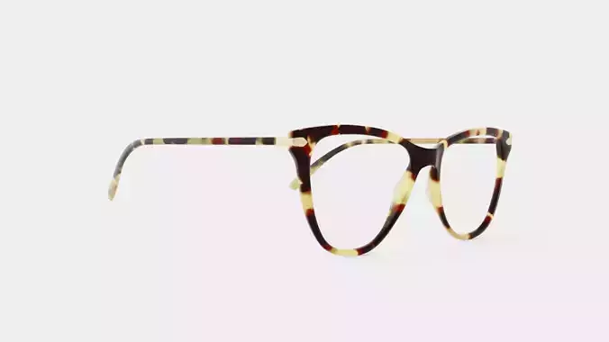 Modo - Driggs Tortoise Glasses
