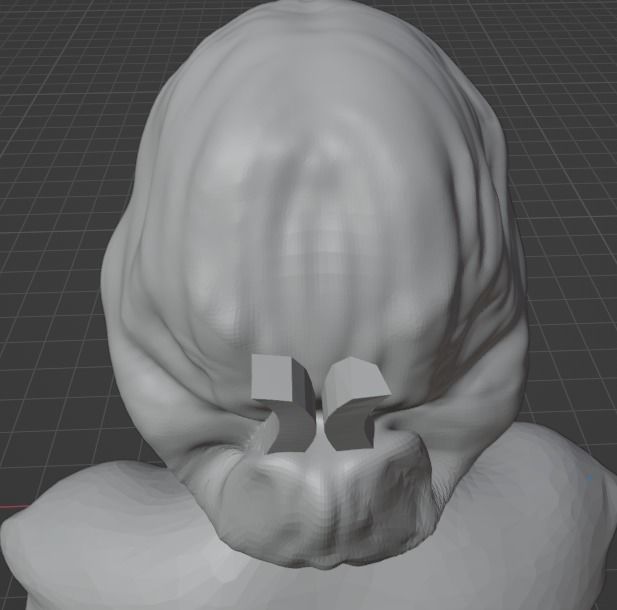 Susan Anthony 3D print model_23