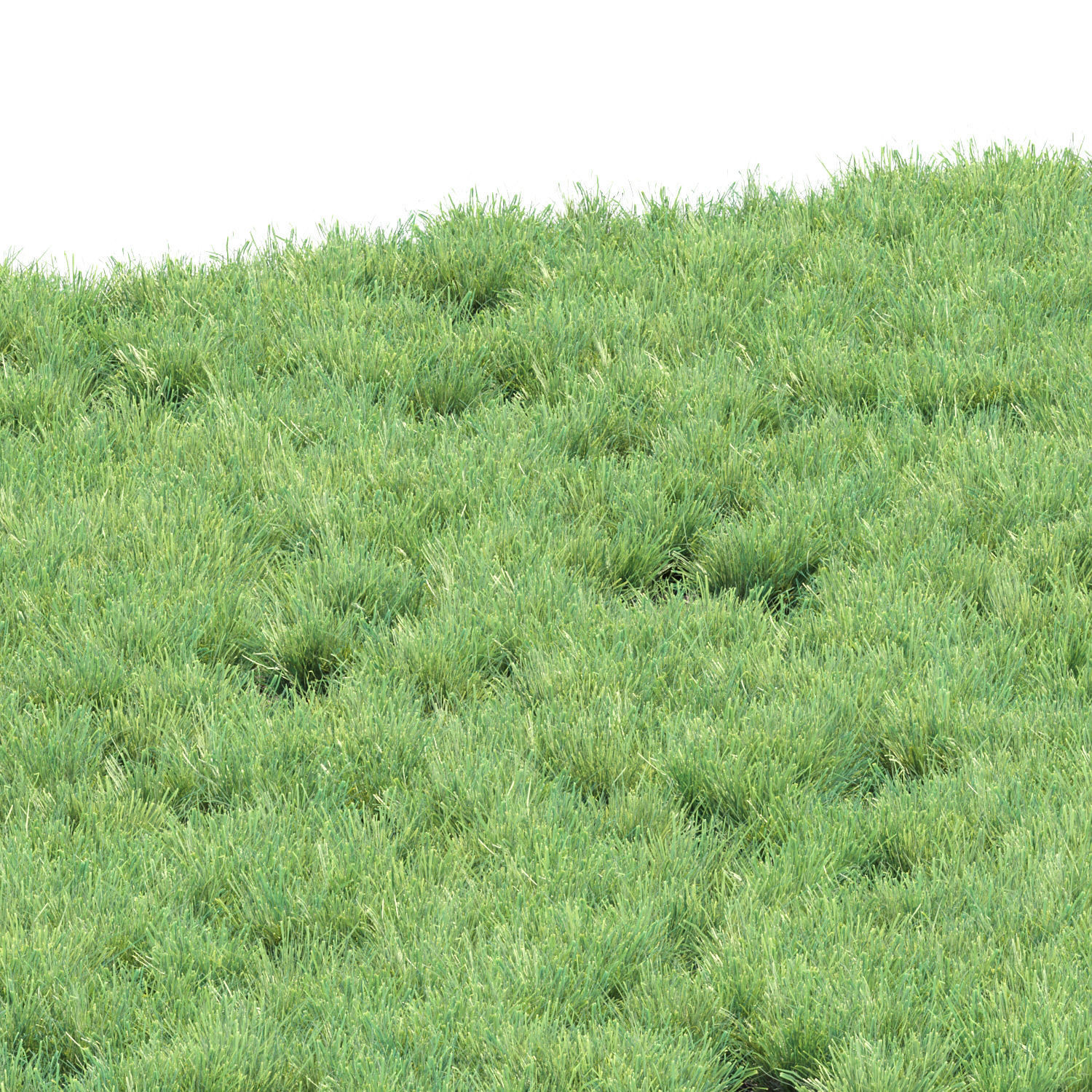Lowpoly Grass collection vol 174 Low-poly 3D model_1