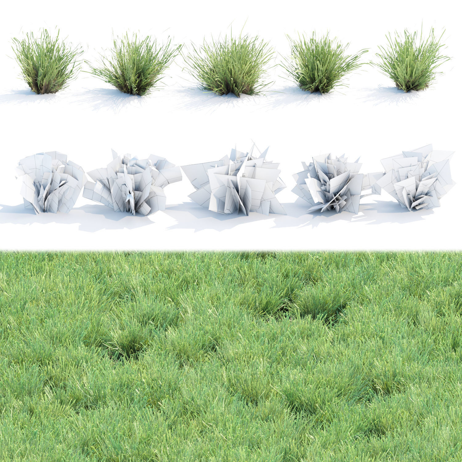 Lowpoly Grass collection vol 174 Low-poly 3D model_3