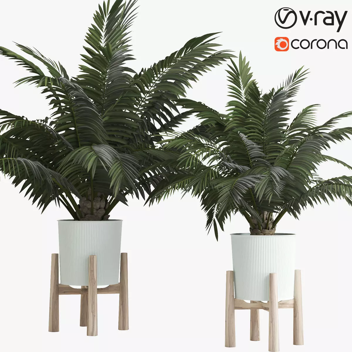 Palms In Pot 3D model