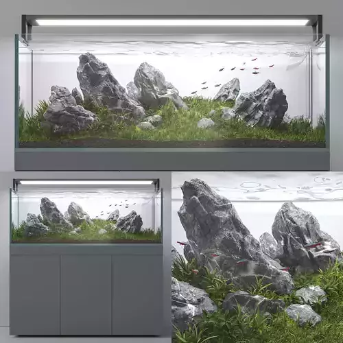 Aquascape aquarium Iwagumi 3D model