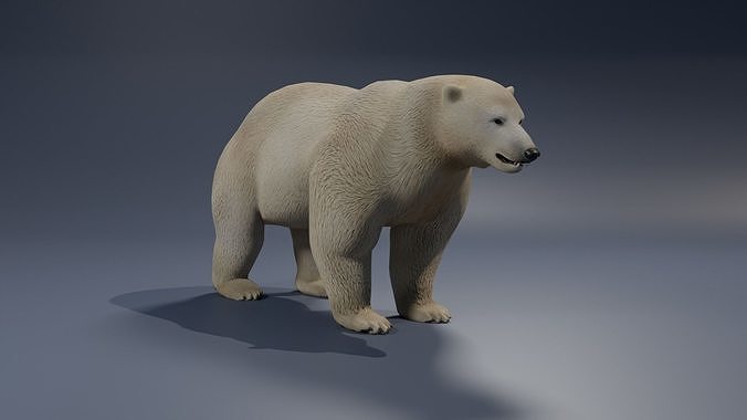 Polar Bear 3D model