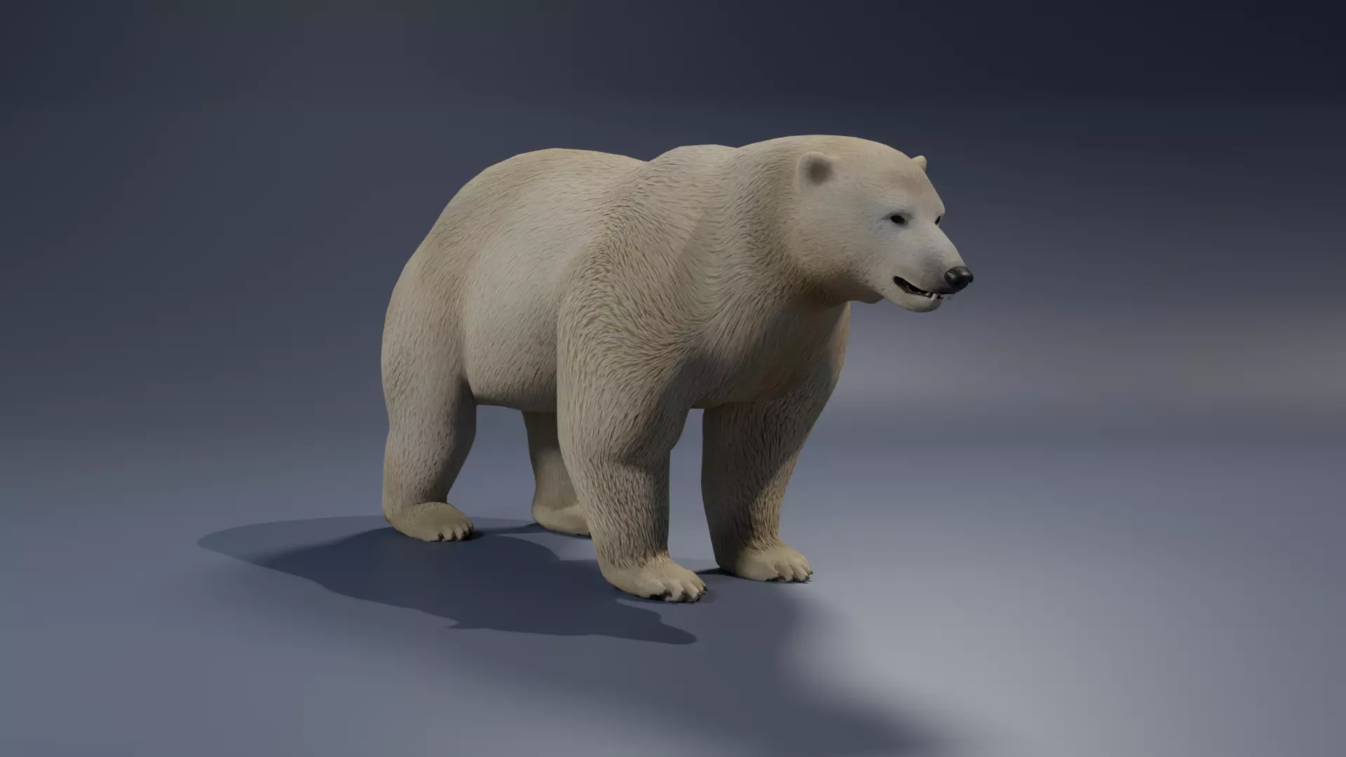 Polar Bear 3D model_0