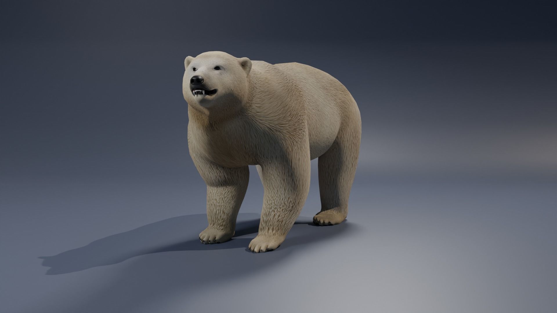 Polar Bear 3D model_2