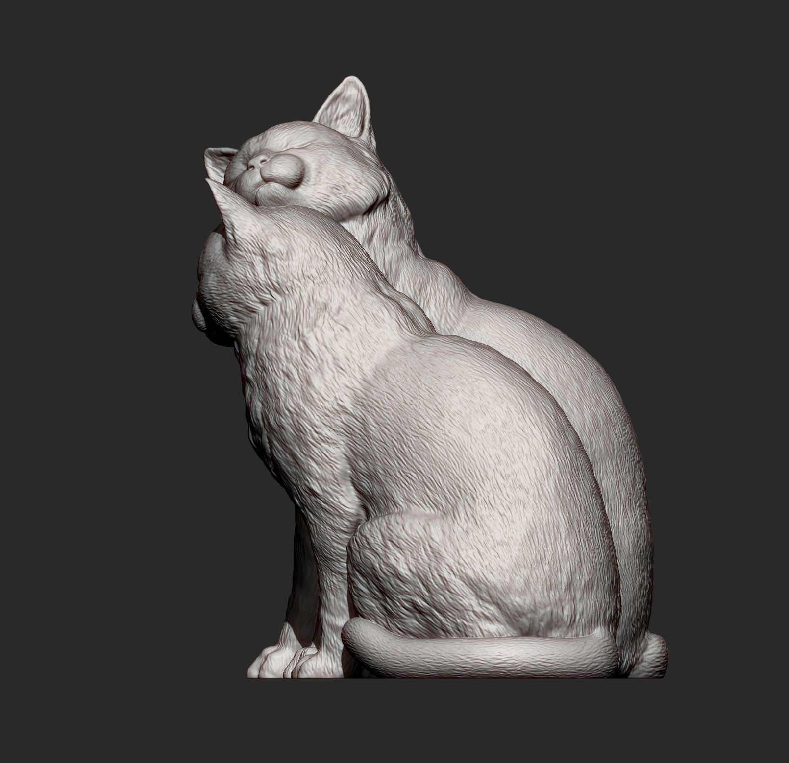 Cats in love 3D print model_8