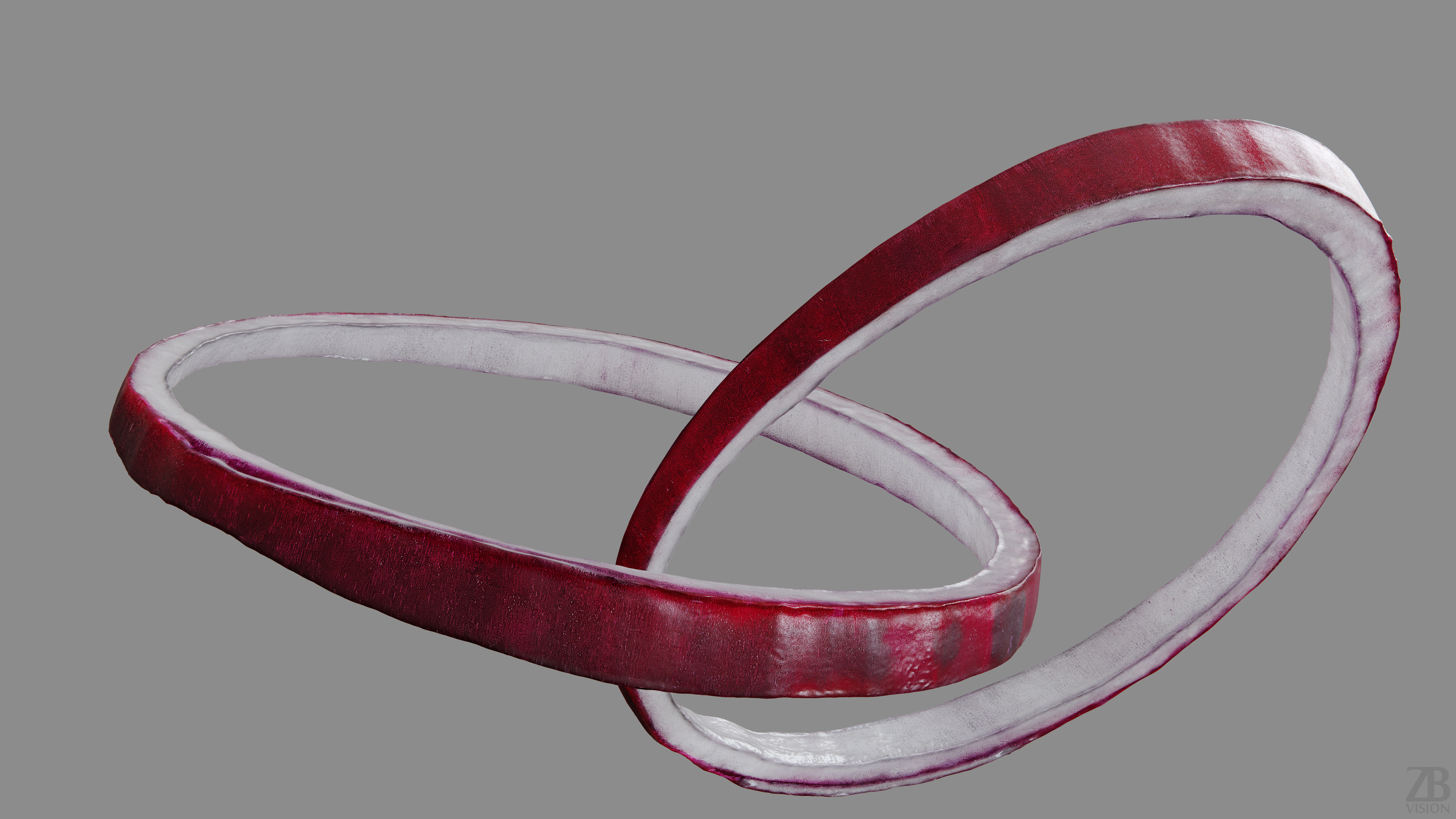 Onion 3D model_9