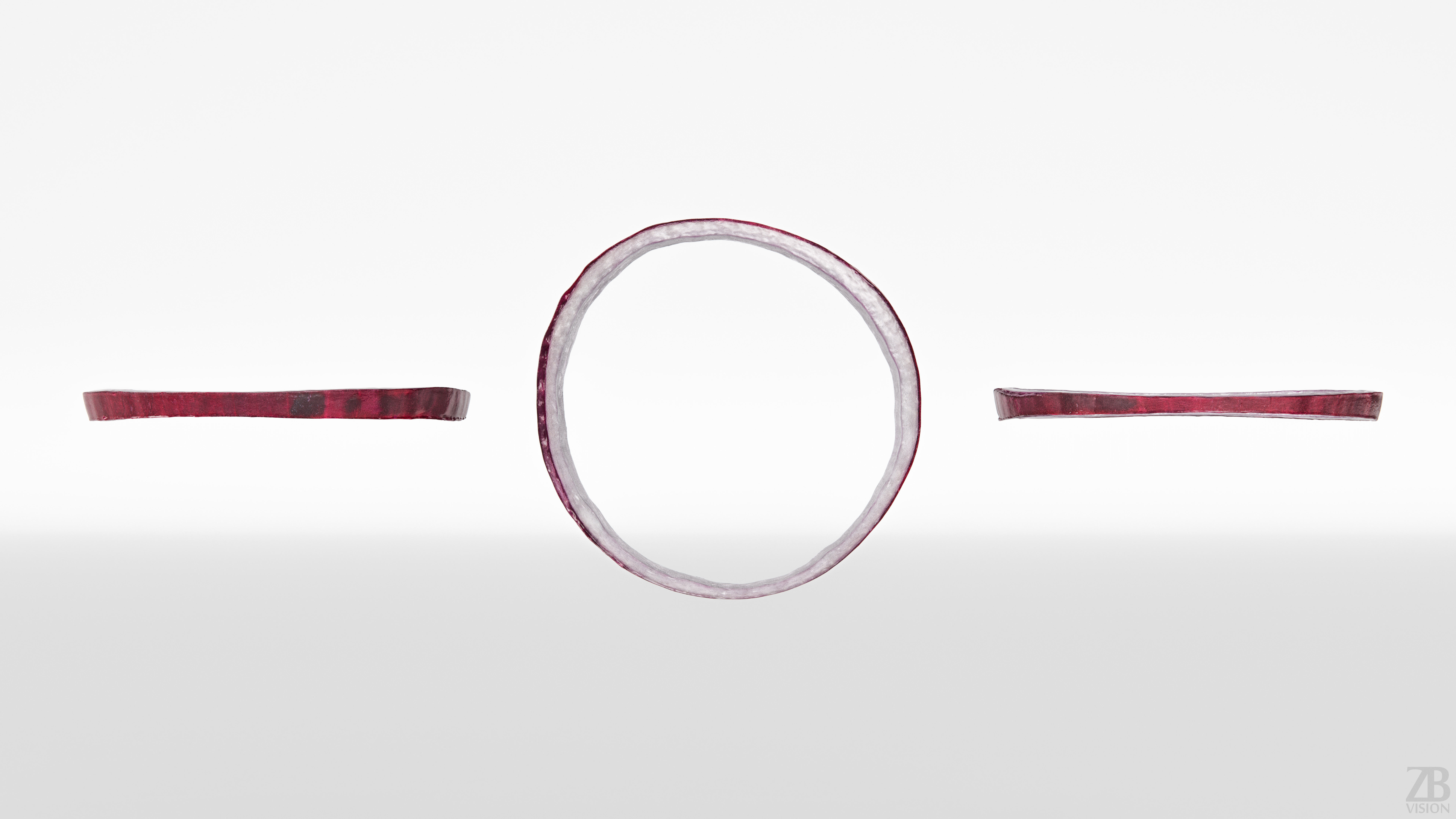 Onion 3D model_4