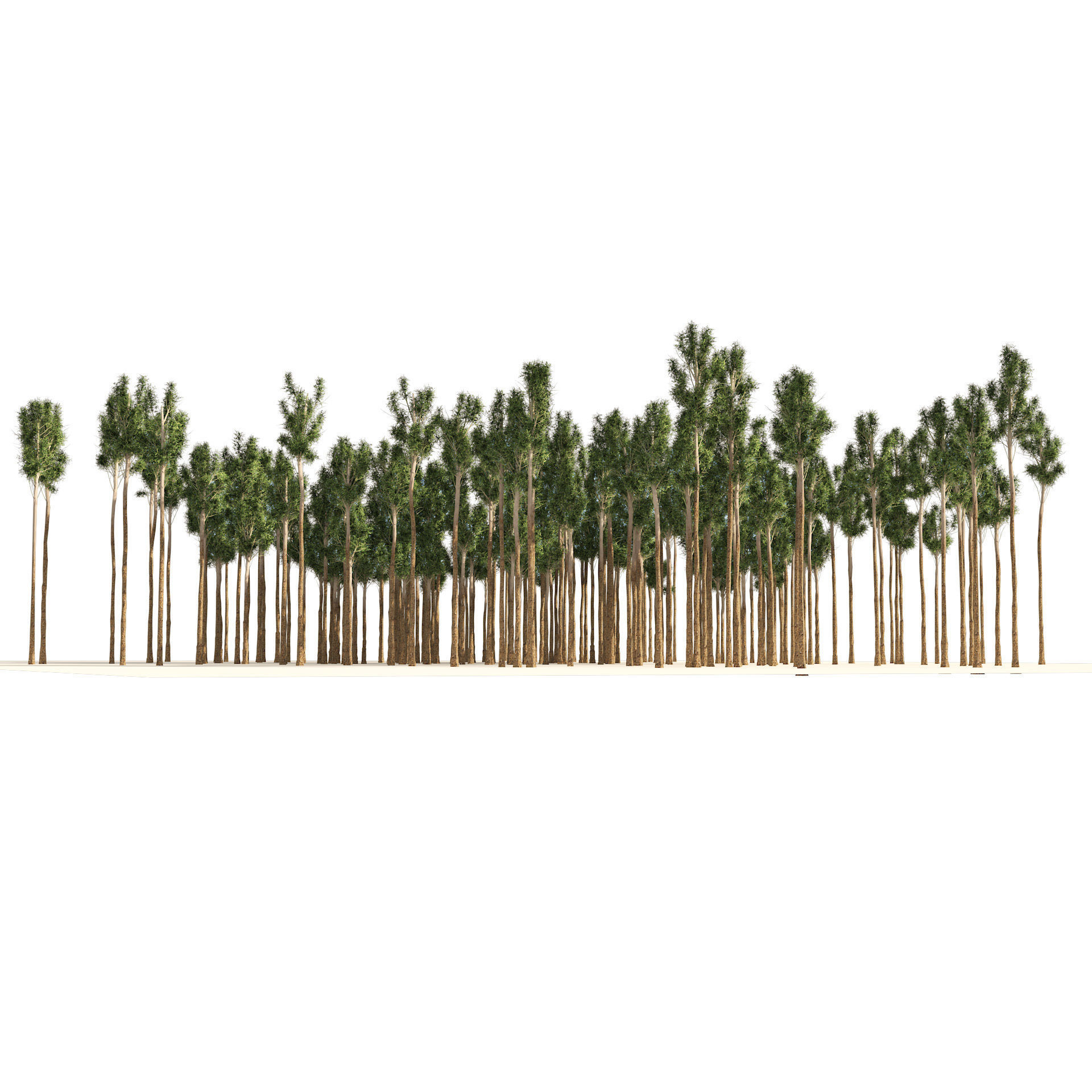 Rose gum forest tree Low-poly 3D model_1