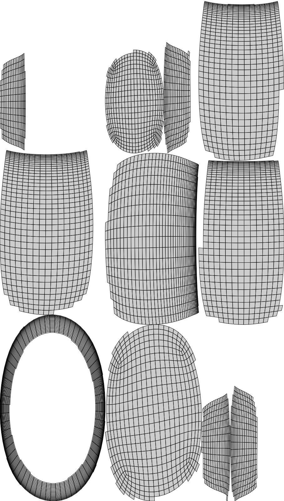 Plant eucalyptus in pot 3D model_12