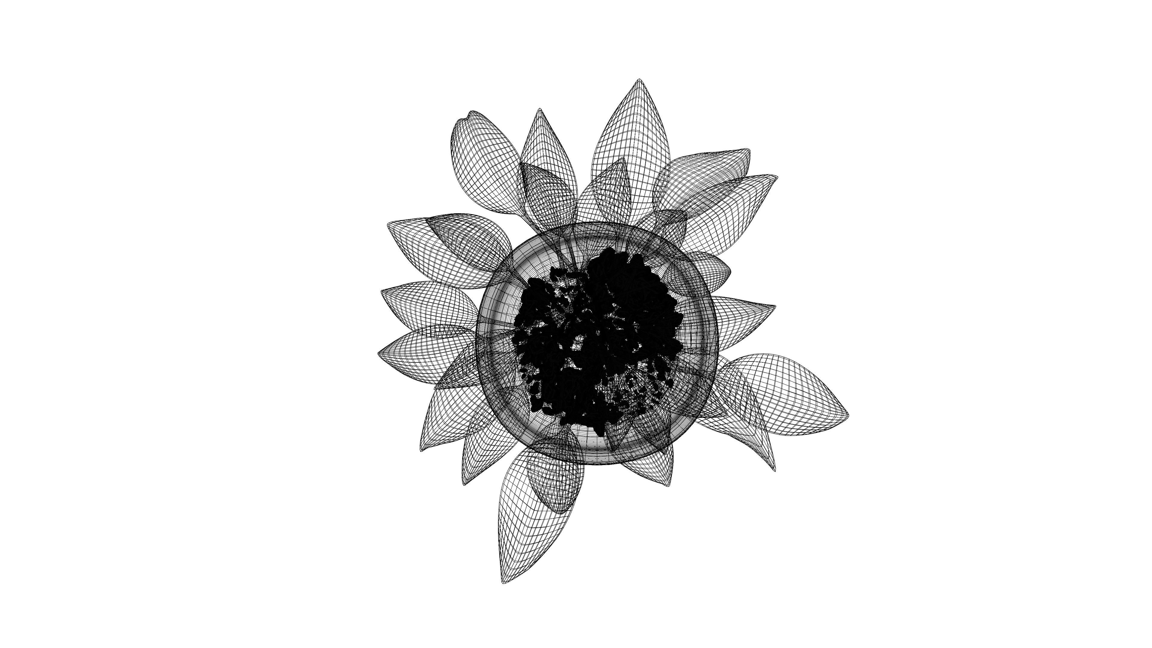 Plant eucalyptus in pot 3D model_8