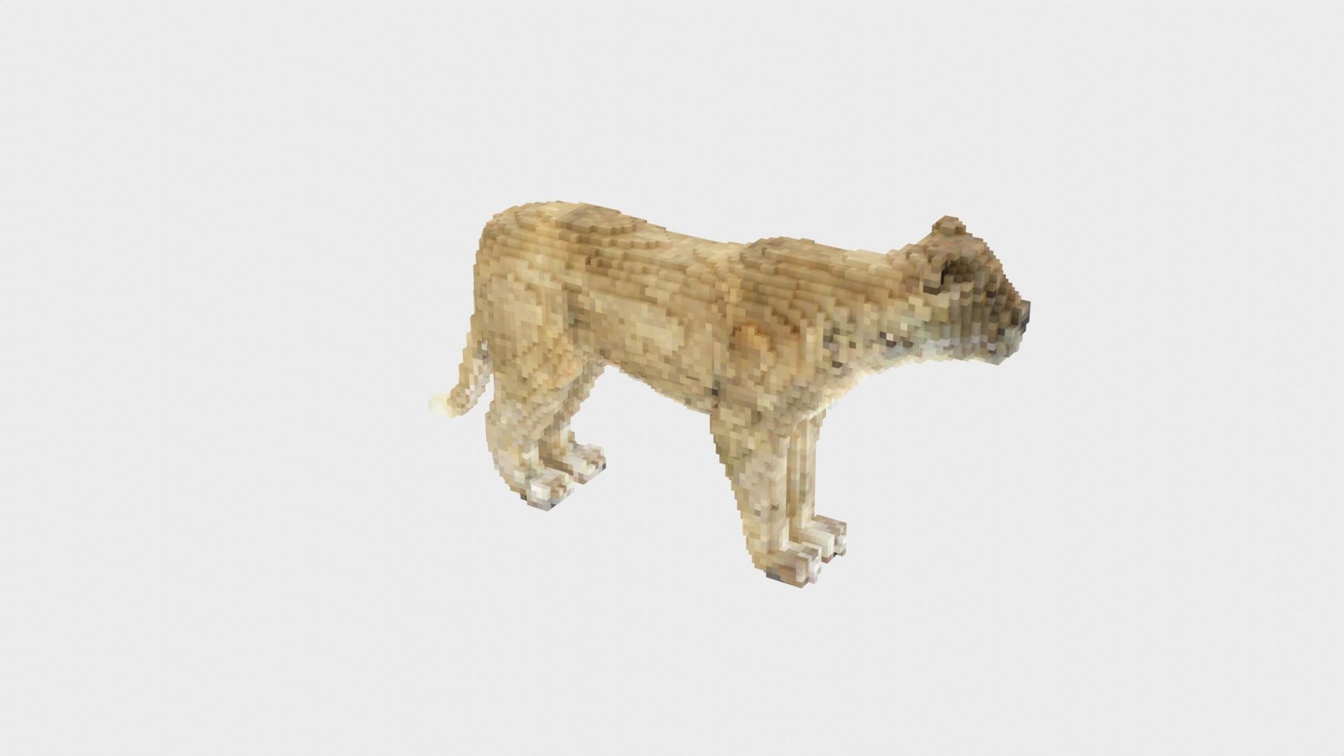 Lion Voxel Style Low-poly 3D model_10