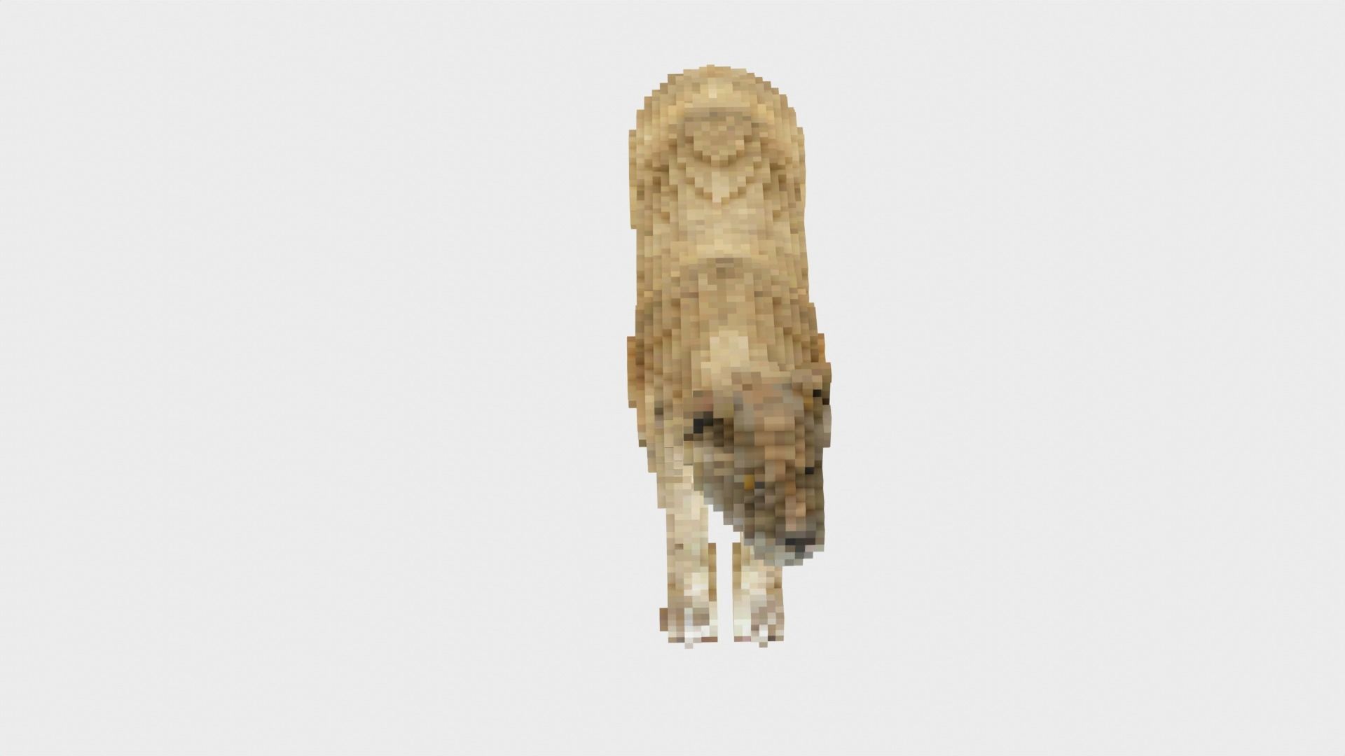 Lion Voxel Style Low-poly 3D model_6