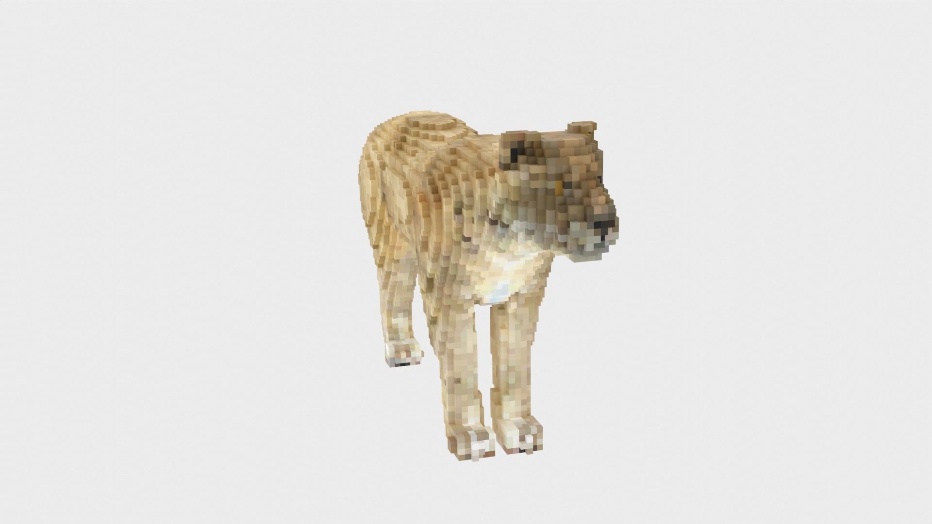 Lion Voxel Style Low-poly 3D model_2