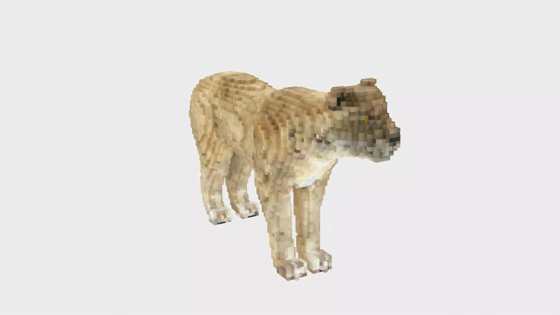 Lion Voxel Style Low-poly 3D model_0