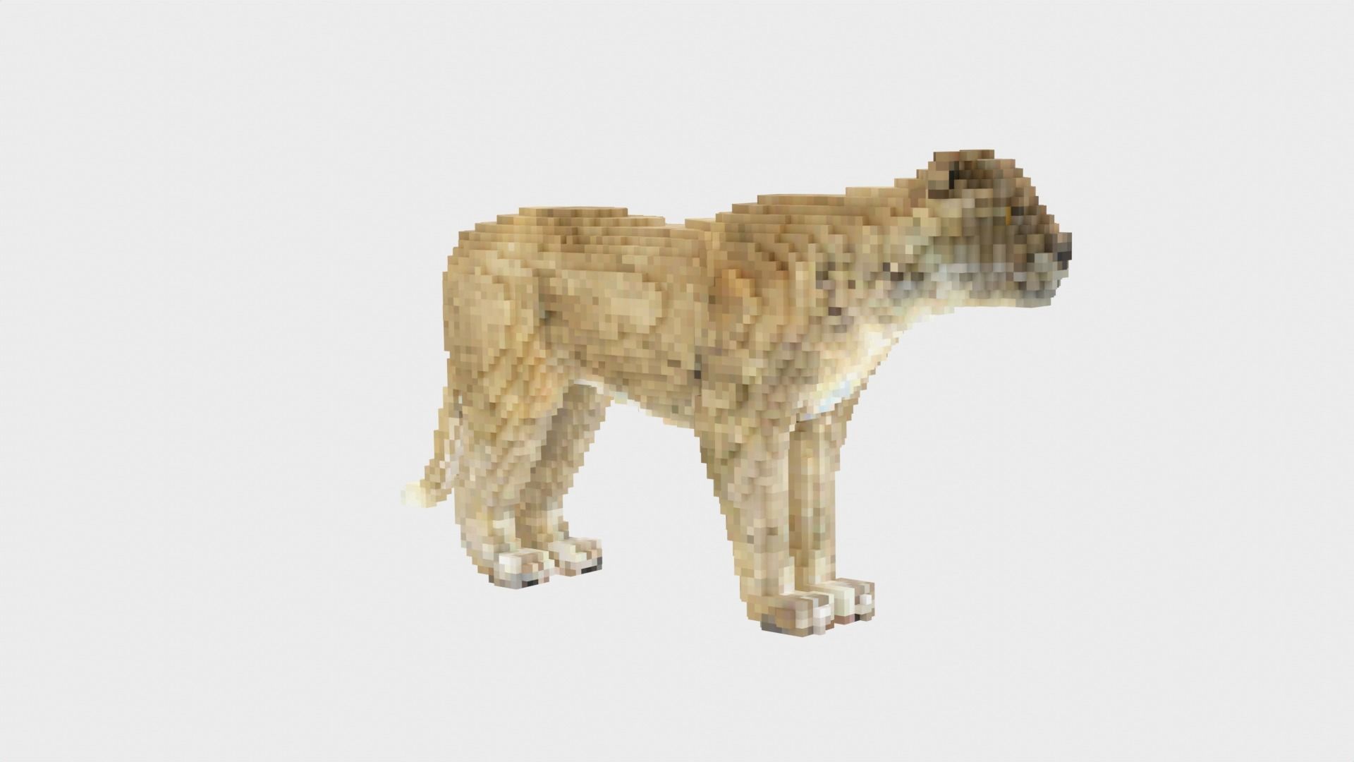 Lion Voxel Style Low-poly 3D model_8