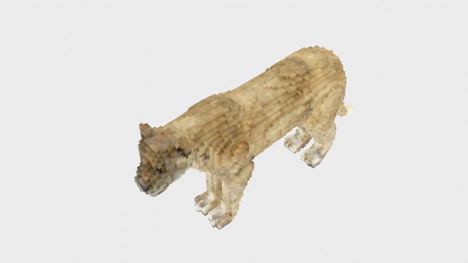 Lion Voxel Style Low-poly 3D model_5