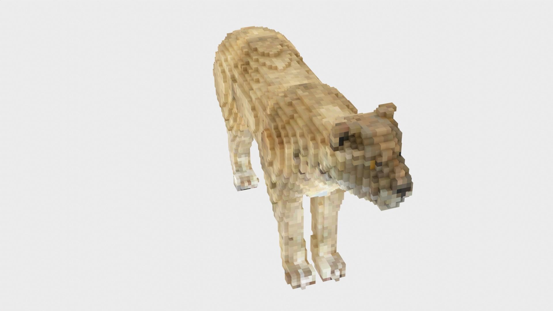 Lion Voxel Style Low-poly 3D model_12