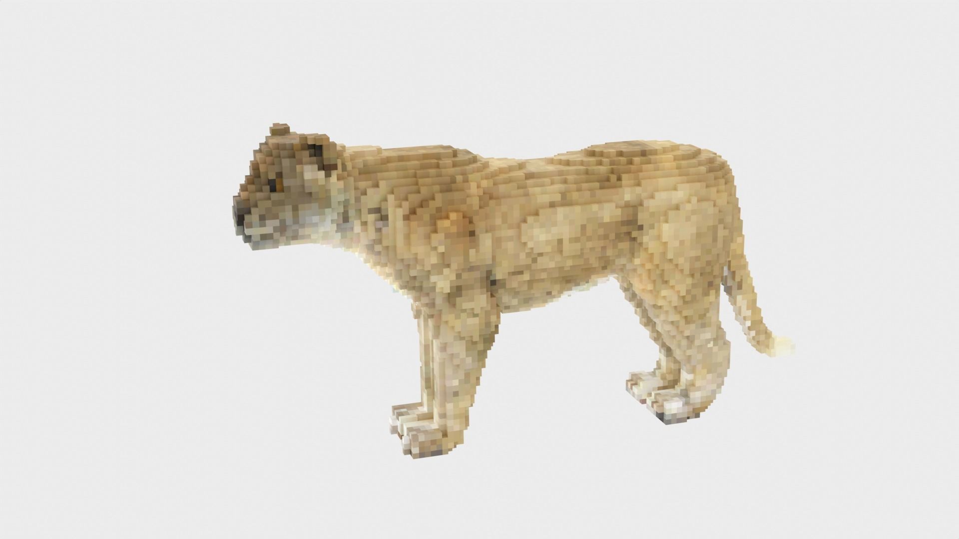 Lion Voxel Style Low-poly 3D model_3